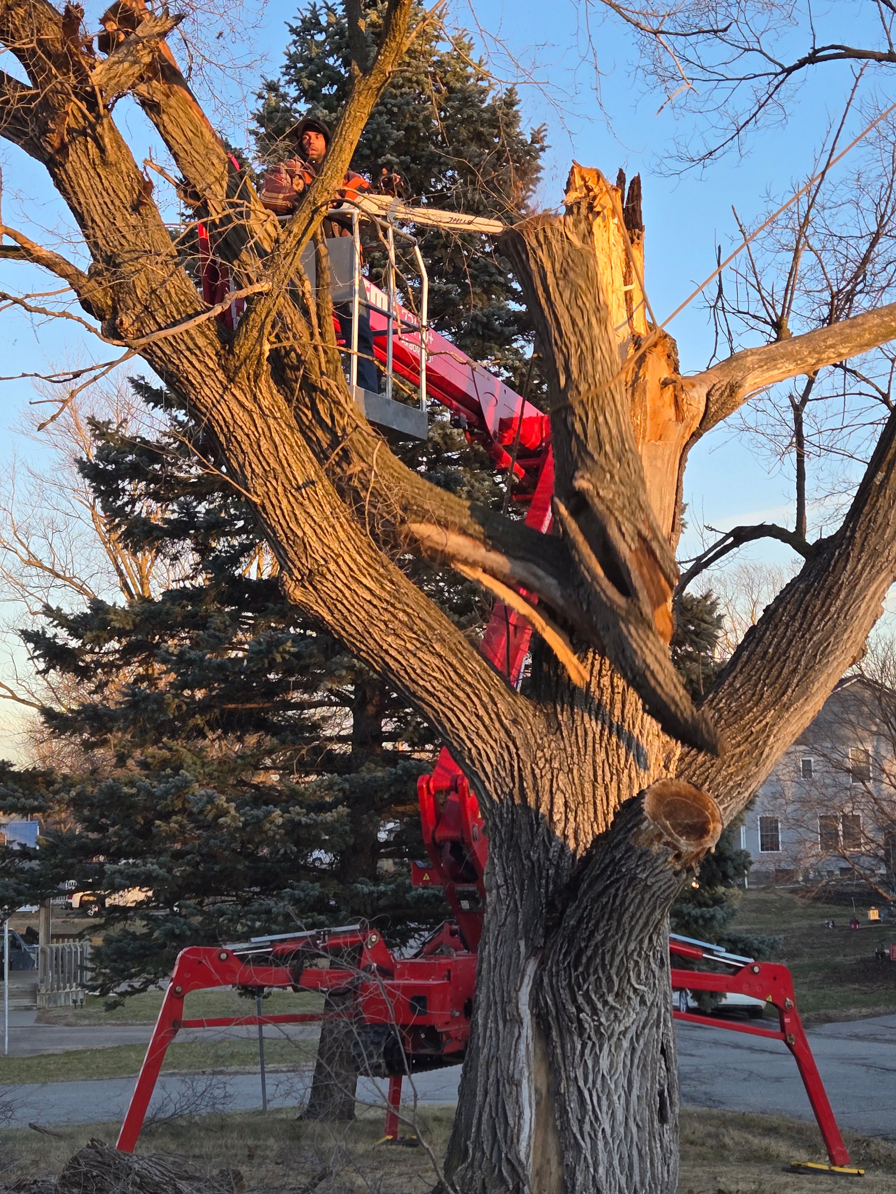  for Lawn Ranger Yard And Tree Service LLC in Ottumwa, IA