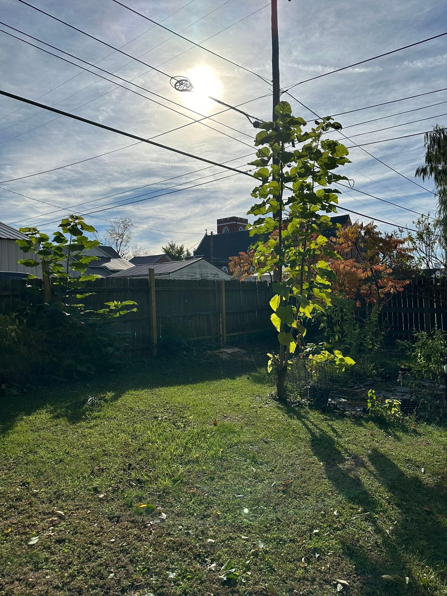  for OT Lawn and Landscaping LLC in Carey, OH