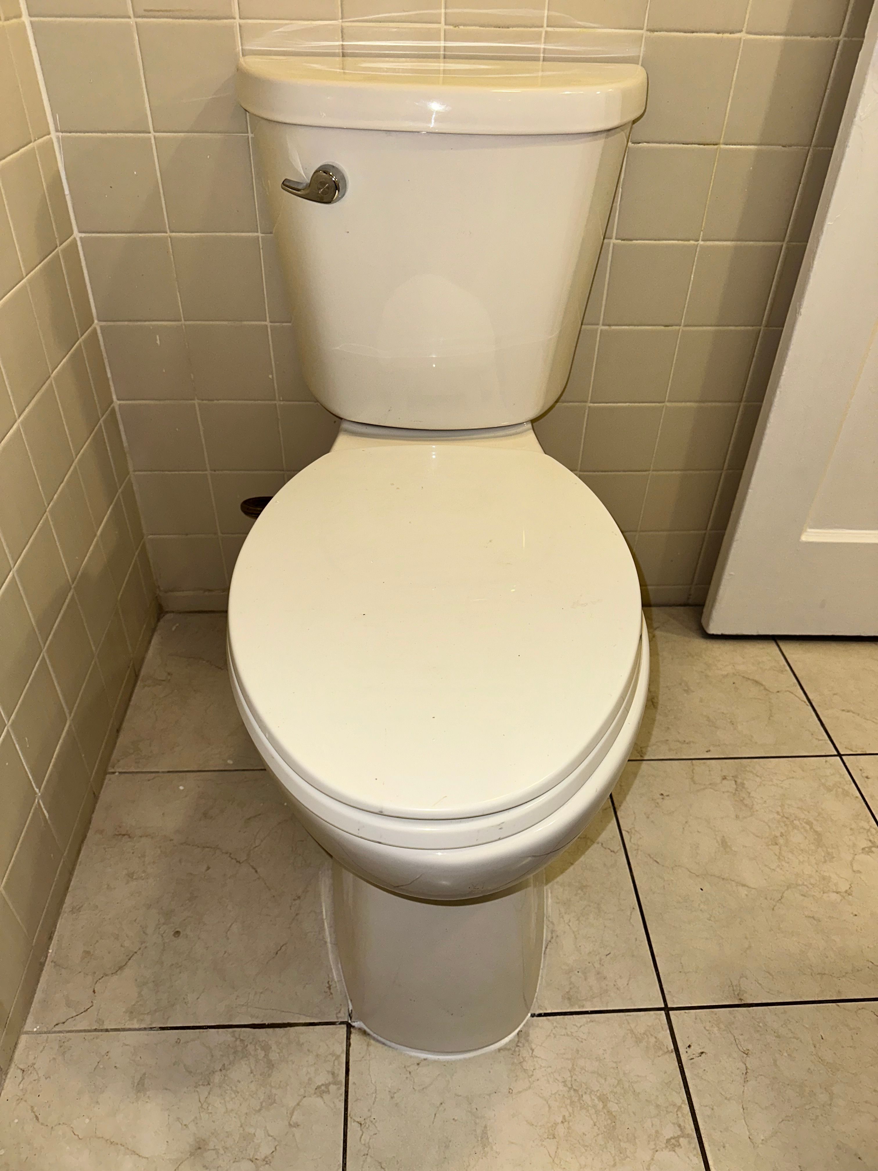 All Photos for The Golden Plumber in Pensacola, FL