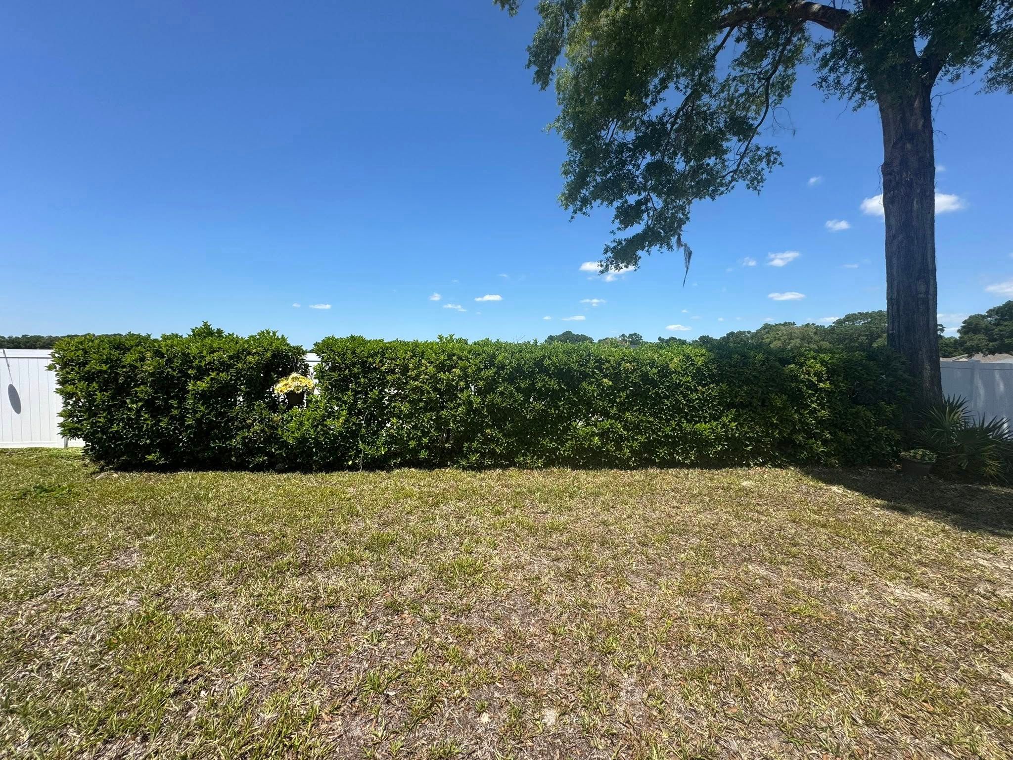 All Photos for Young's Lawn Services LLC in Ocala, FL