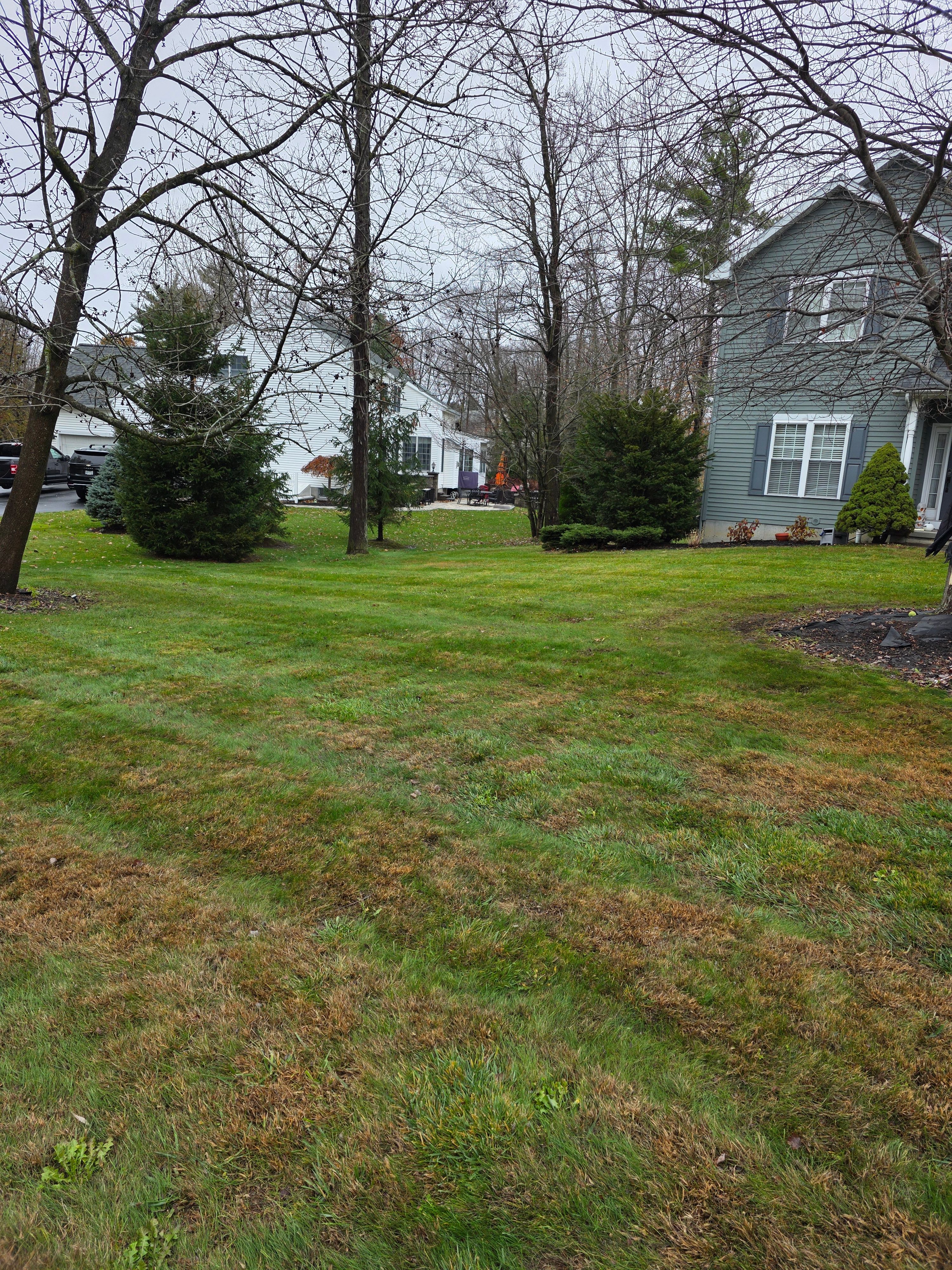  for Sweet Scapes in Ballston Spa, NY