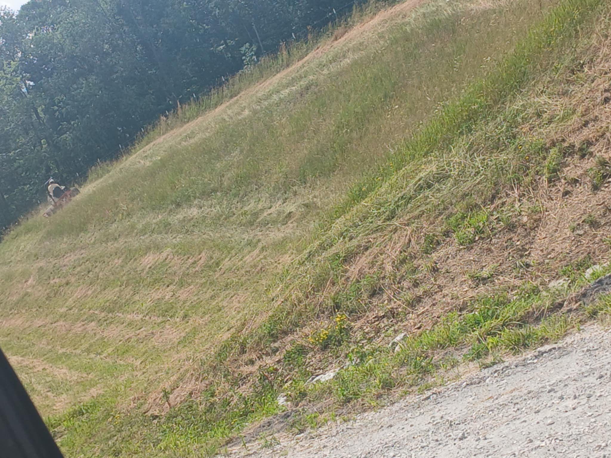 All Photos for Dead On Energy in Bloomingdale, OH