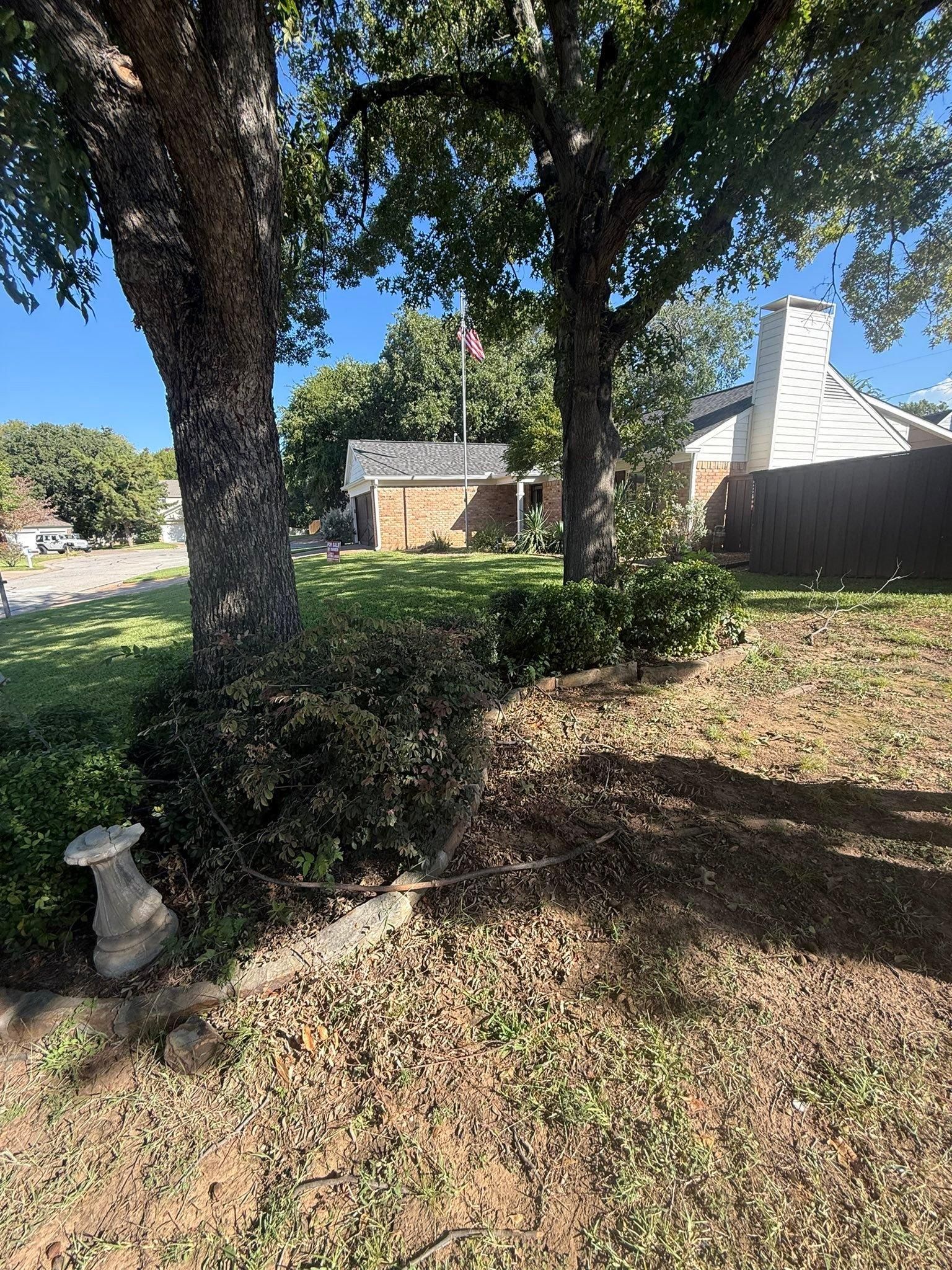 All Photos for Blu-J Tree Care in Arlington, TX