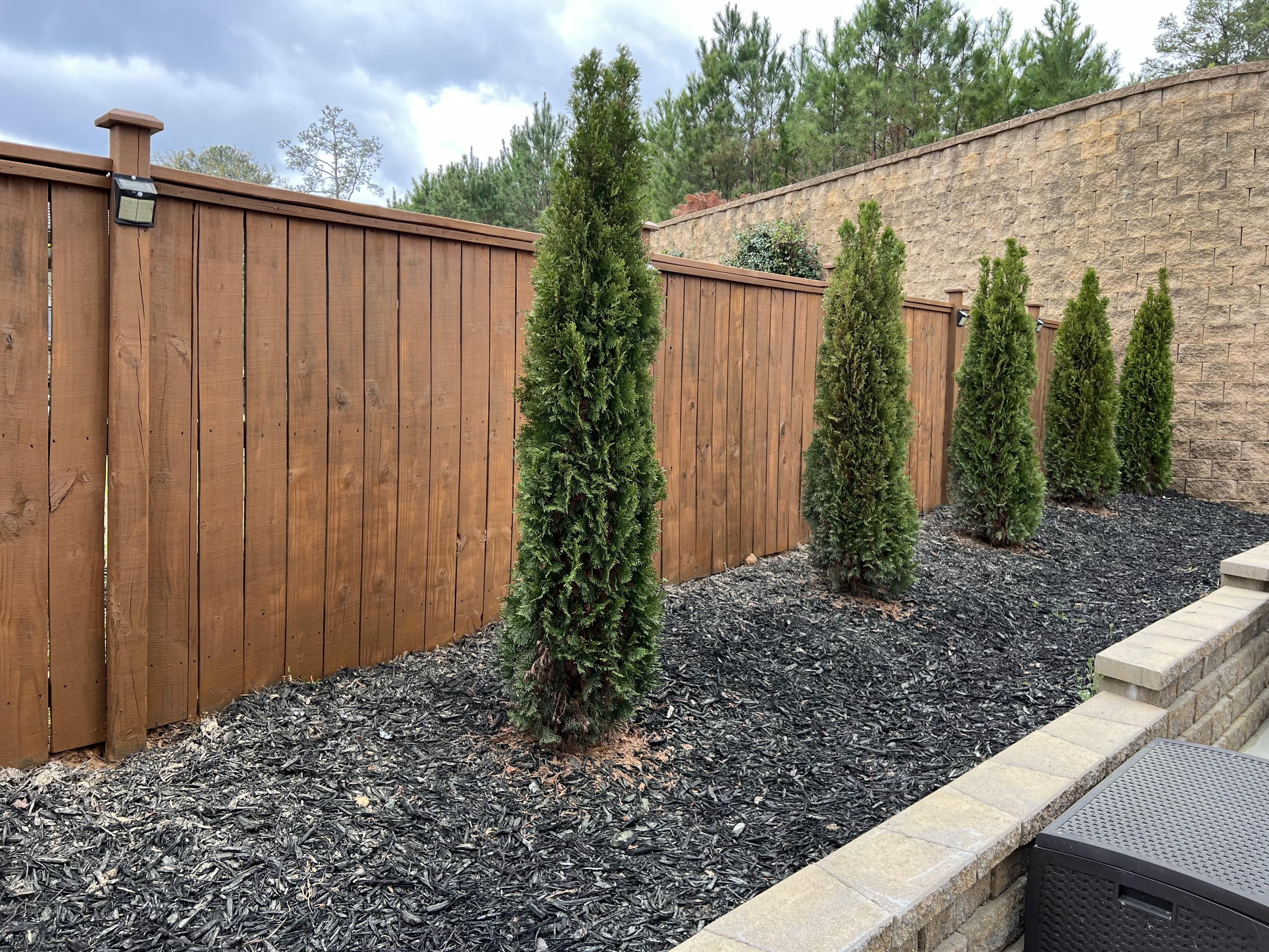  for Shang's Landscaping Service in Columbia, South Carolina