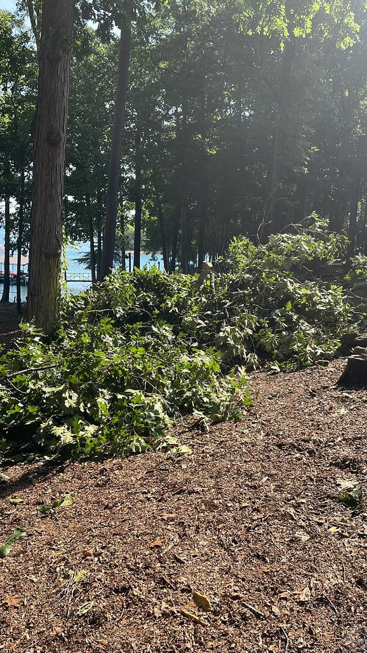 All Photos for Lakeside Tree Experts LLC in Hartwell, GA