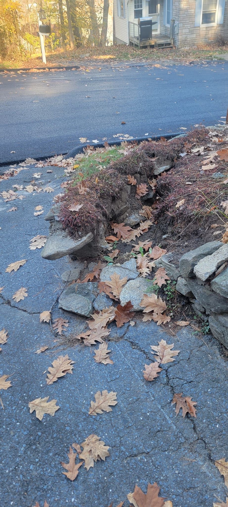 All Photos for Romero Máster Landscaping in Lunenburg, MA