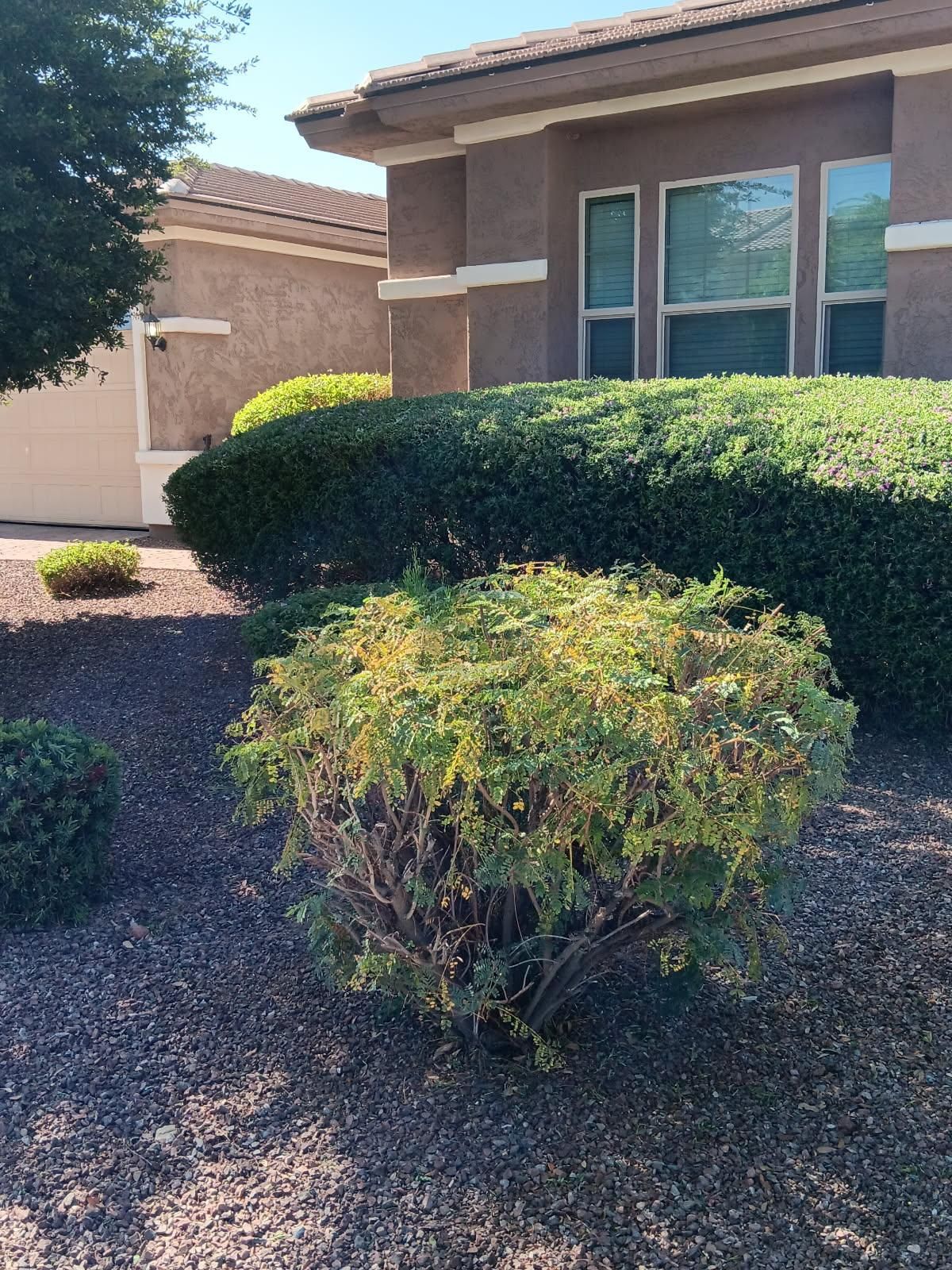  for Family Landscaping in Phoenix, AZ