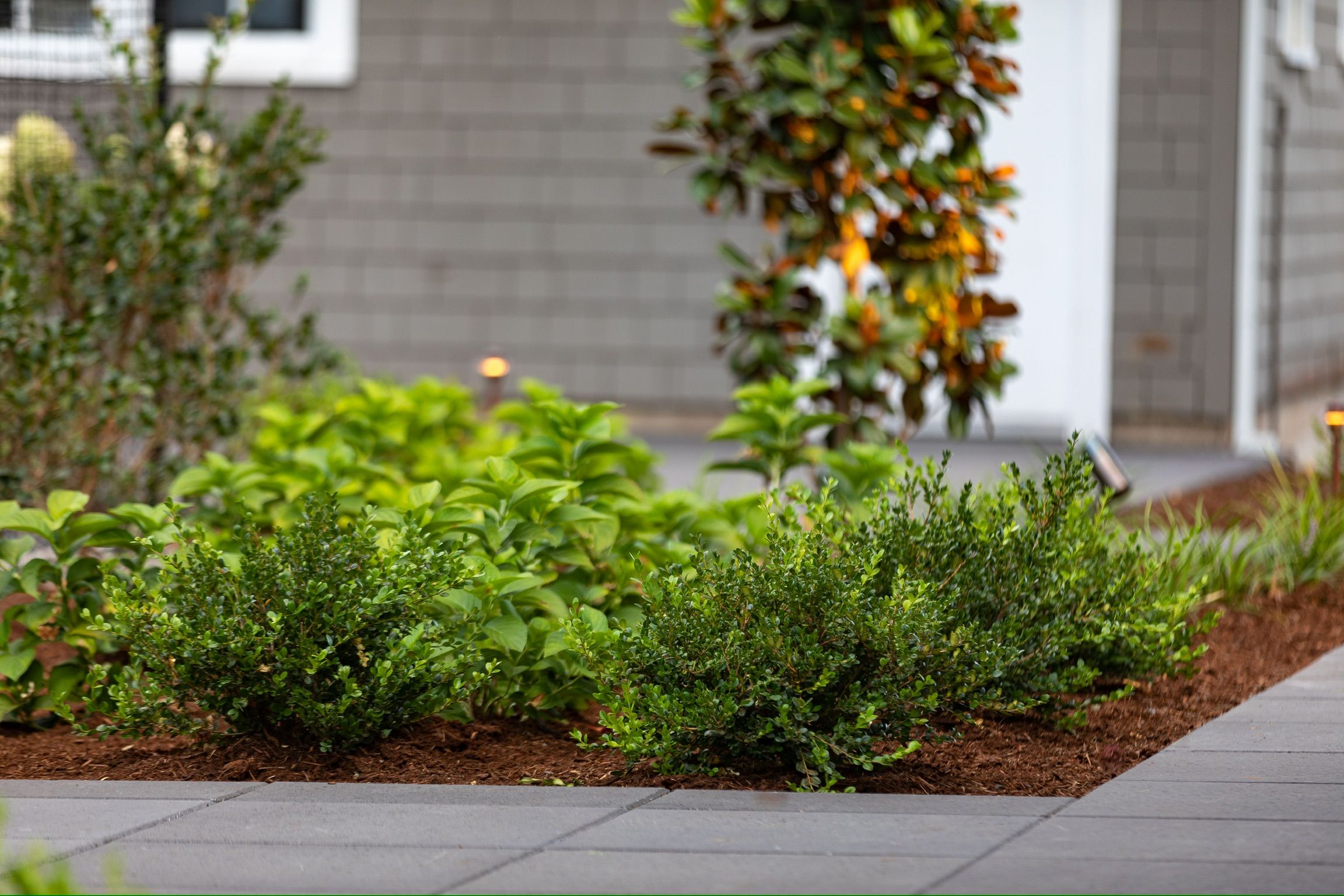 for Courtney Lewis Landscape Design in Portland, OR