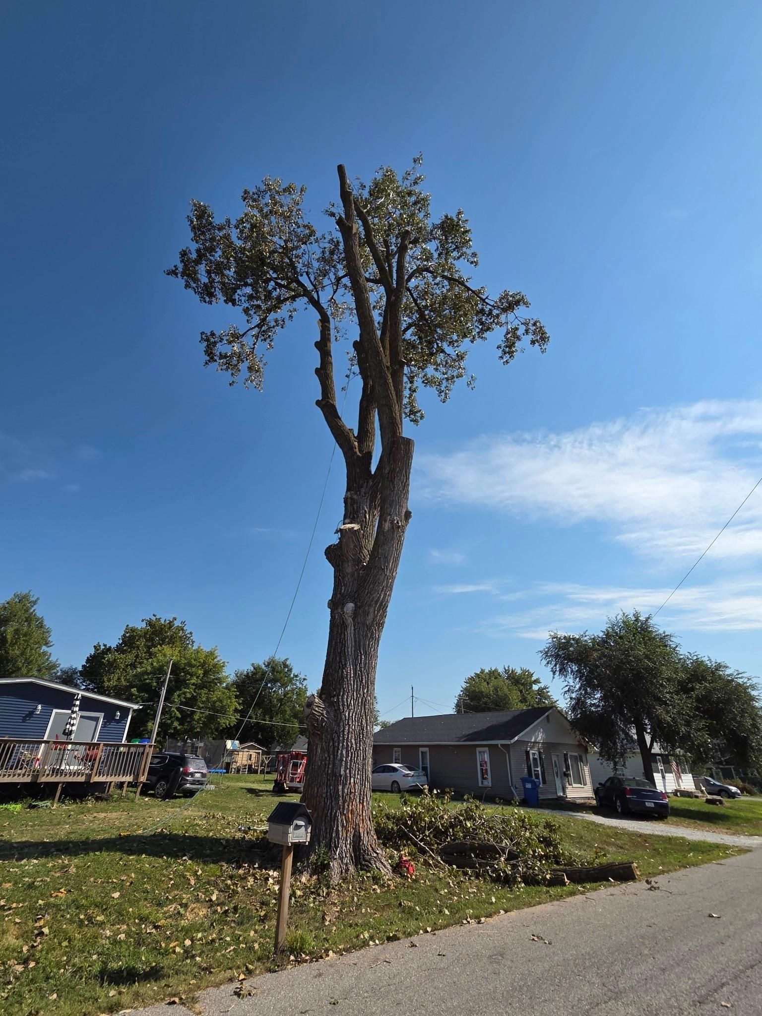  for Lawn Ranger Yard And Tree Service LLC in Ottumwa, IA