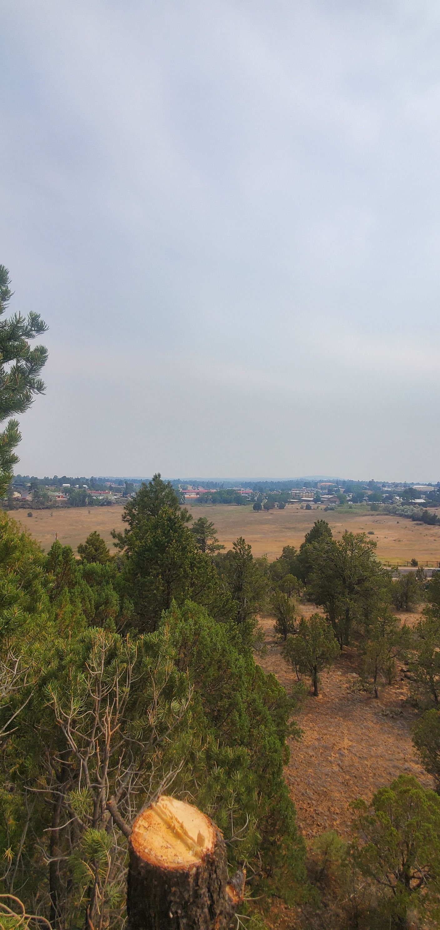  for StockPro Tree Specialists in Show Low, AZ