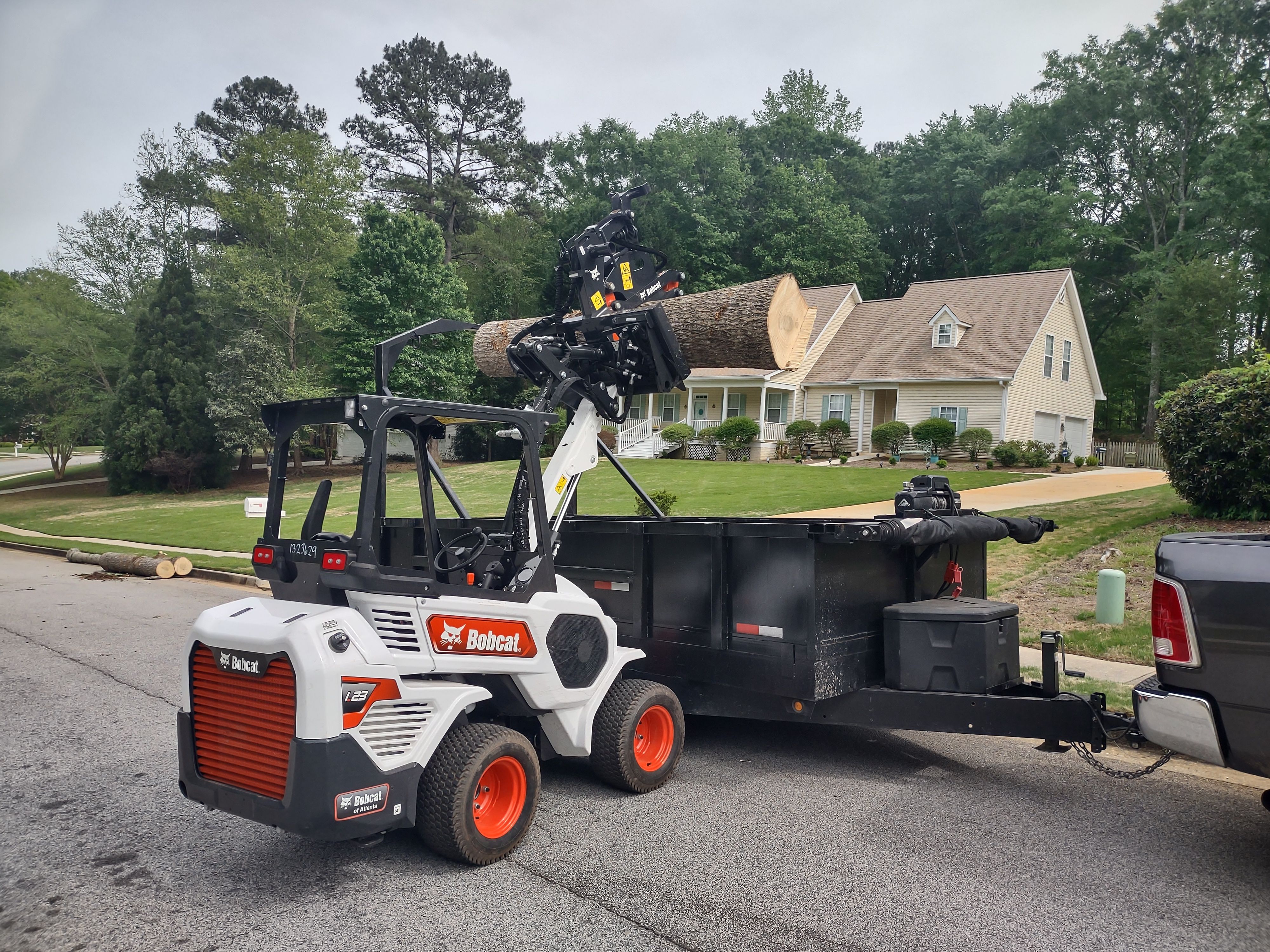 Tree Removal for Ross Property Service in Fayette County, GA