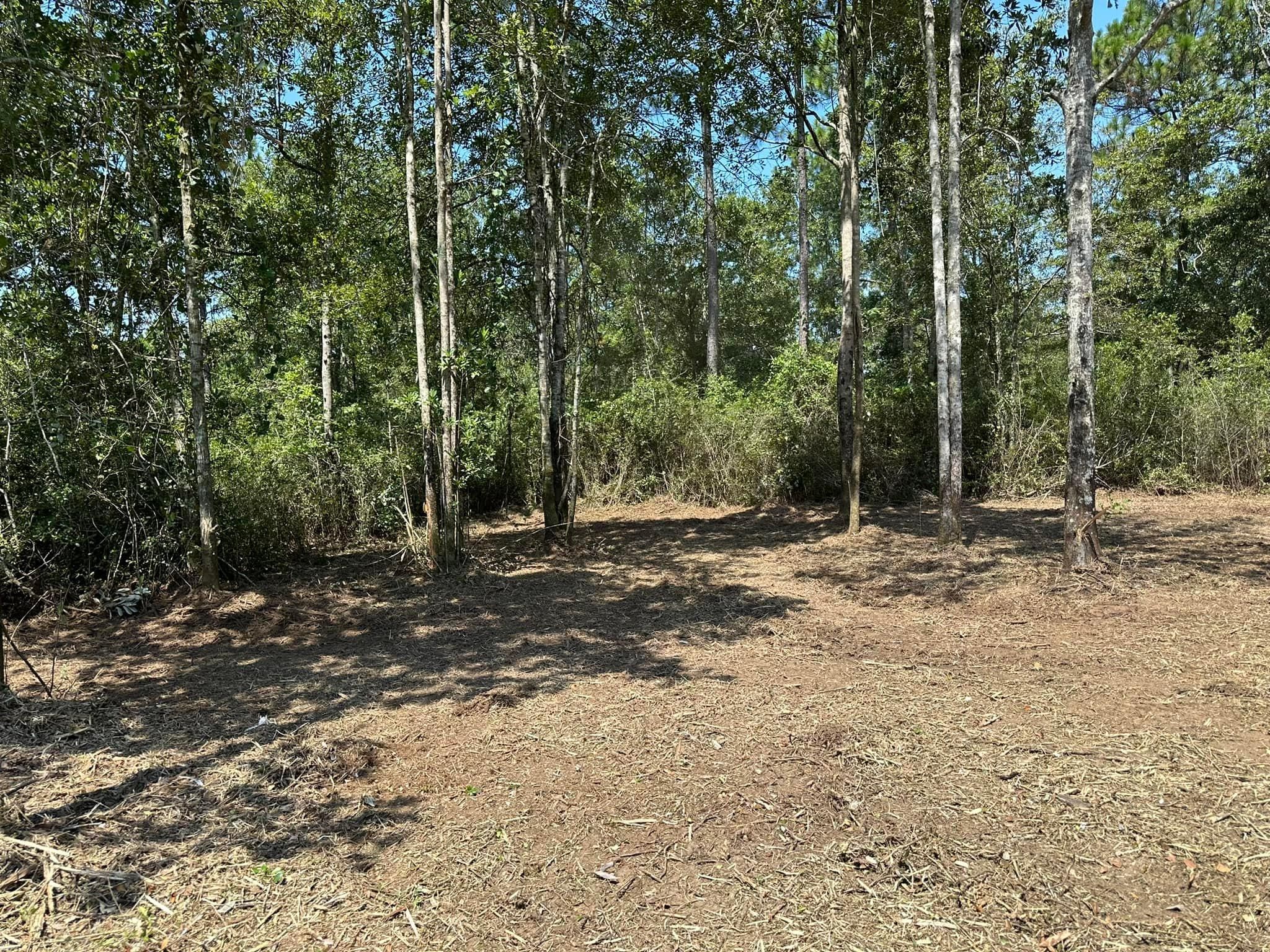 All Photos for White’s Land Maintenance in Milton,, FL