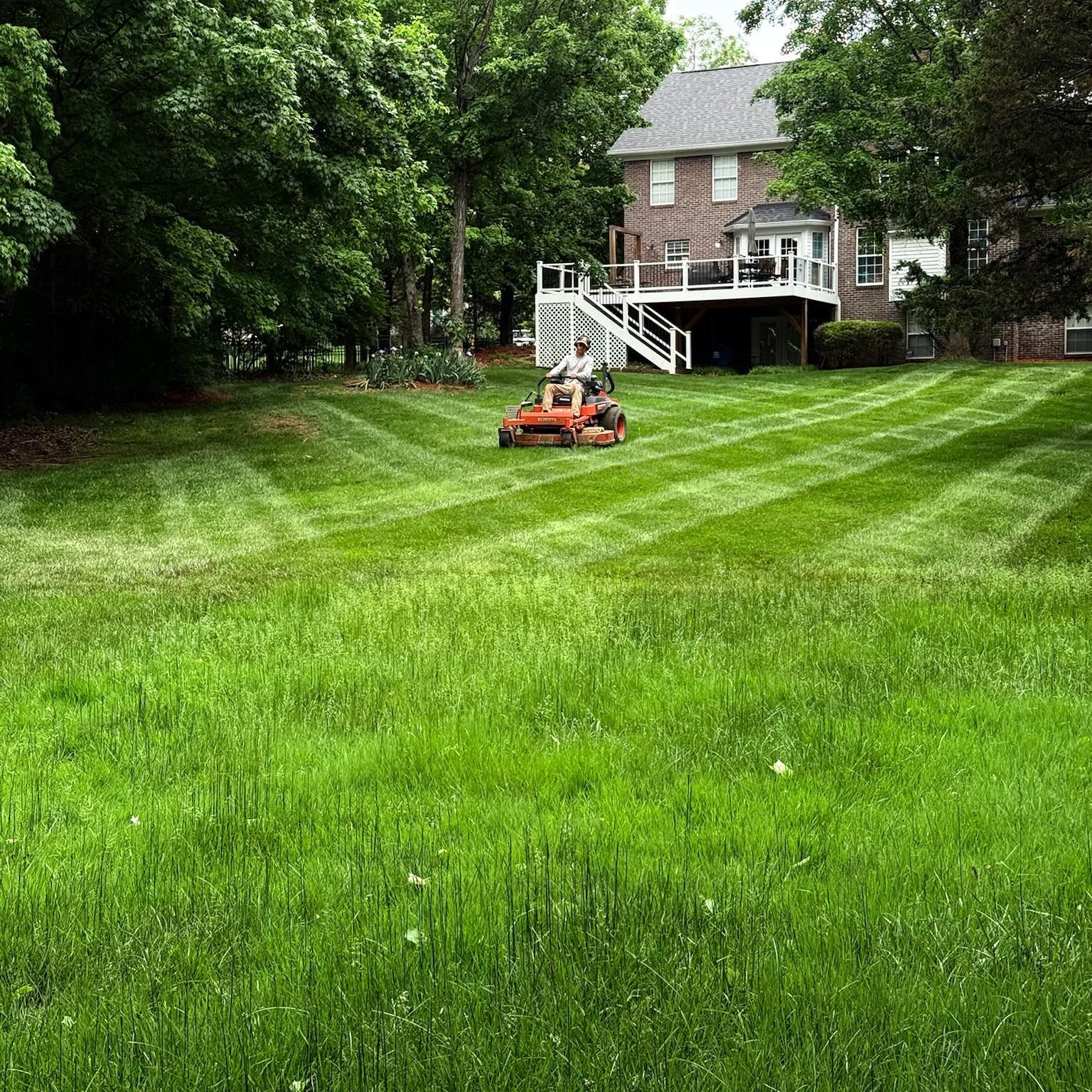 for Nicholson Lawn Care in Jeffersonville, IN