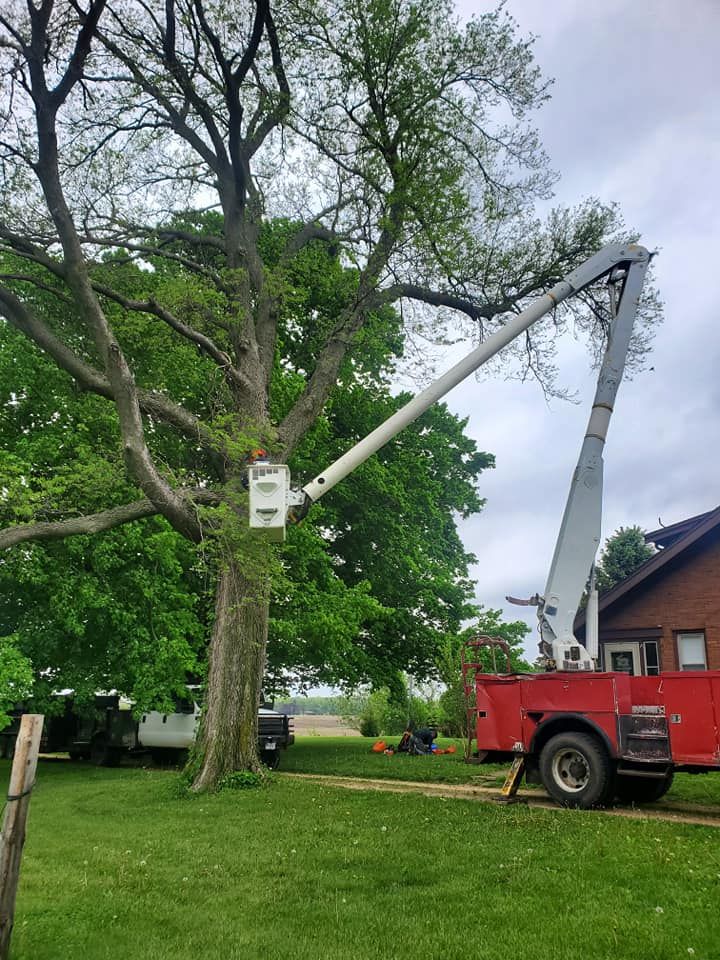 All Photos for Equality Contracting And Tree in Kountze, TX