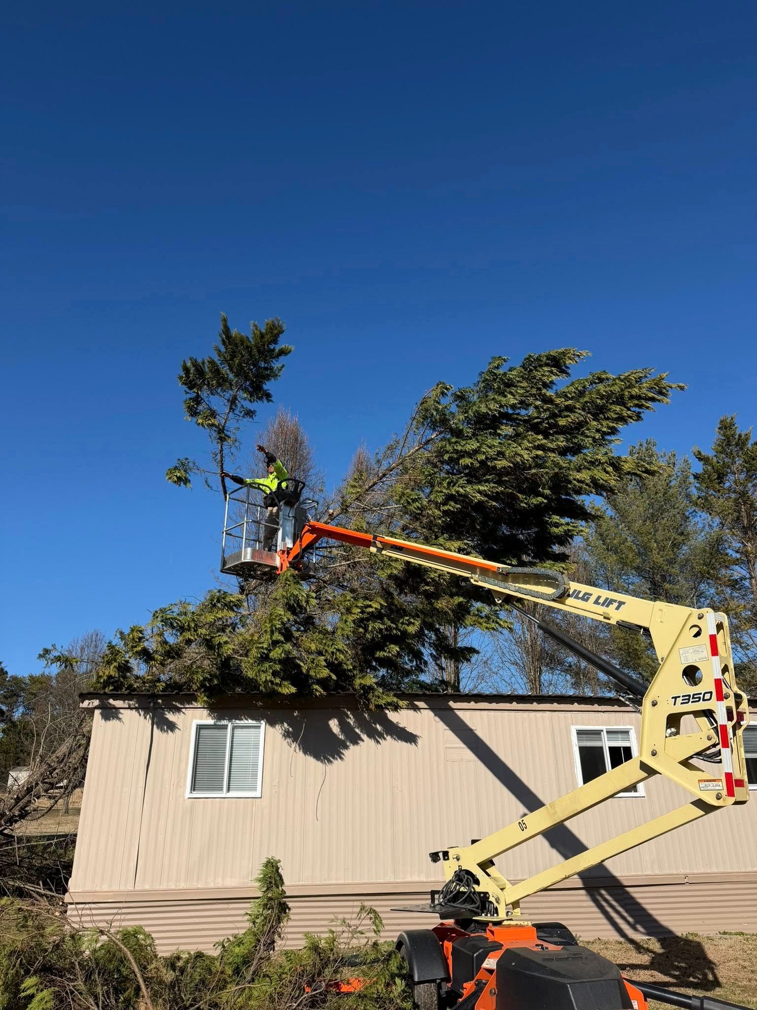  for Ramirez Tree Care in Elkin, NC