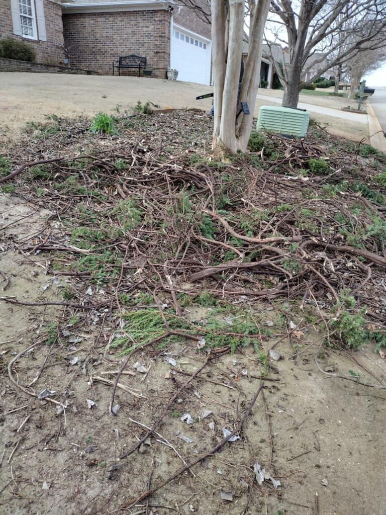  for Upstate Precision Landscaping in Moore, SC