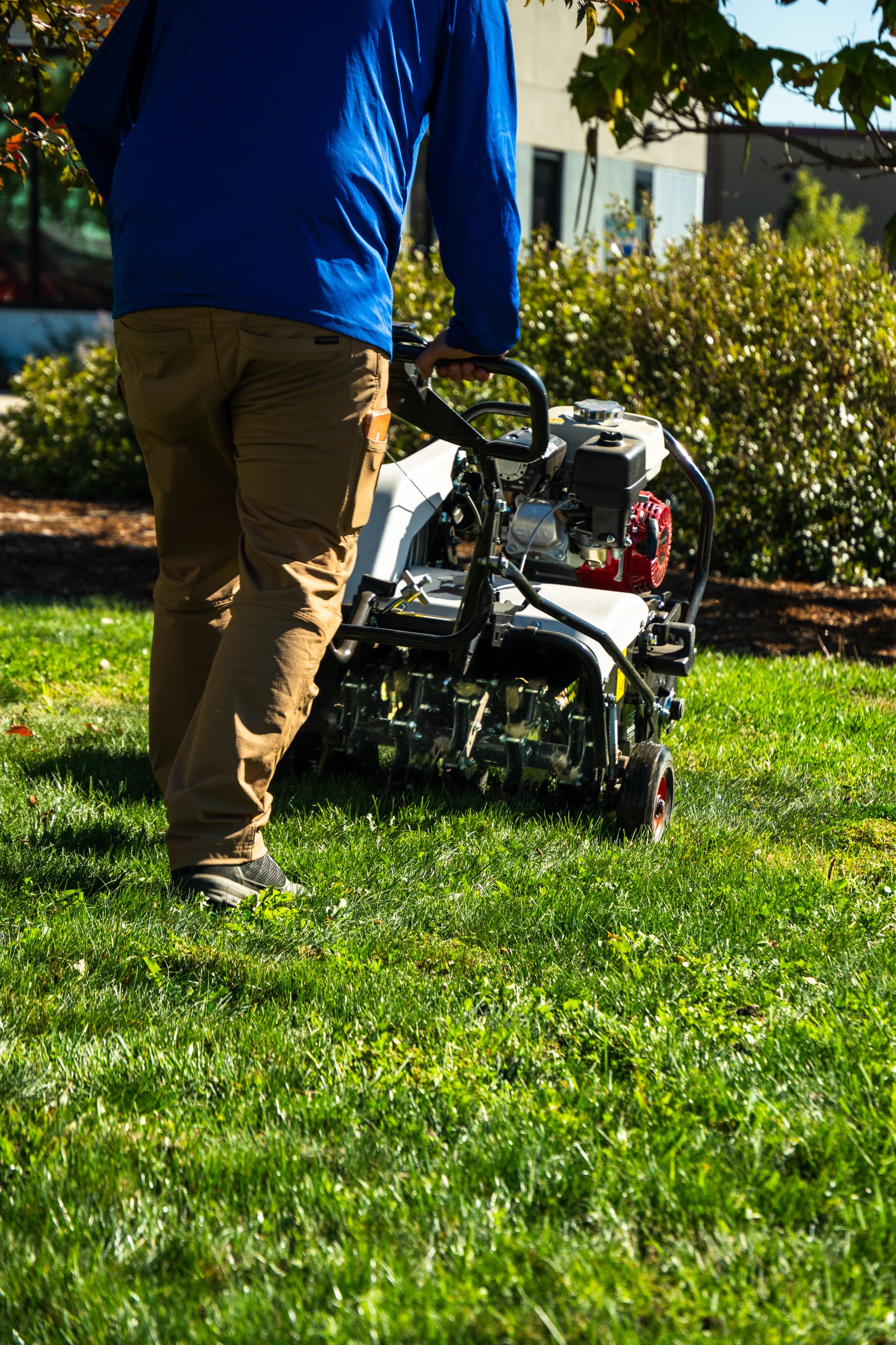 All Photos for Manscaped Lawn Care in Firestone, CO