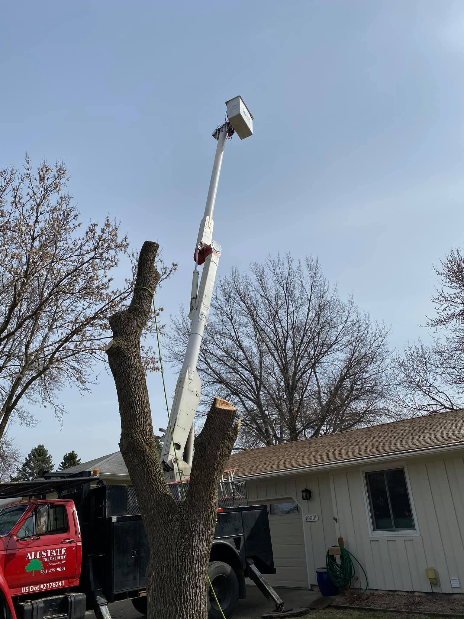 All Photos for Allstate Tree Service in Fridley, MN