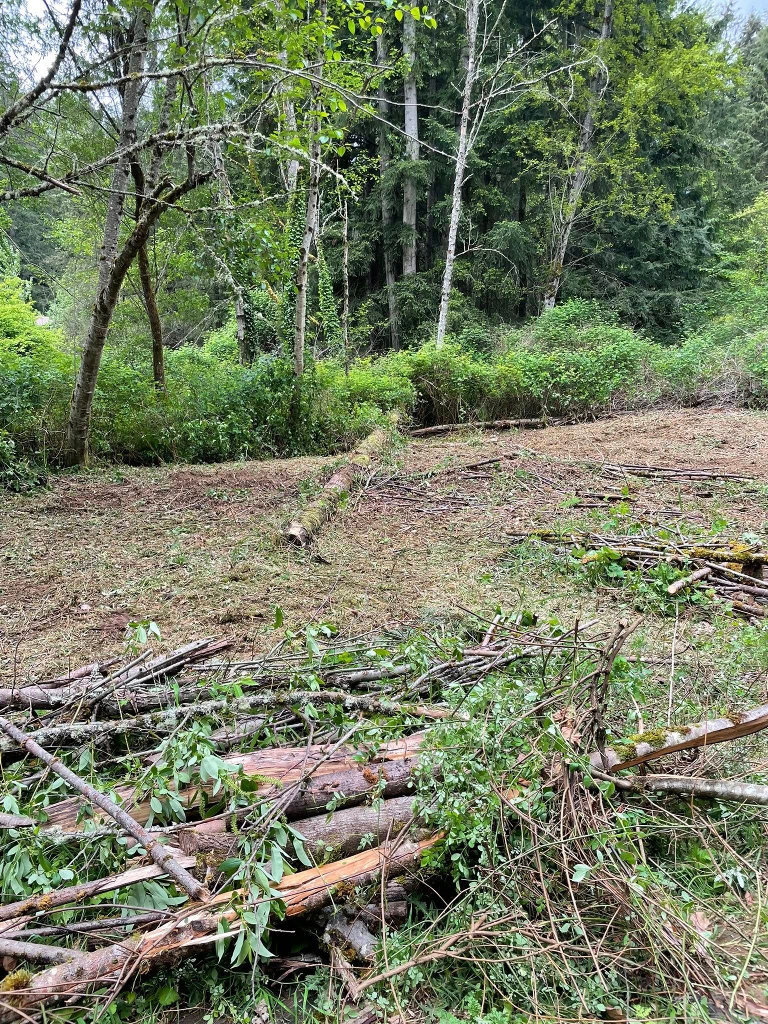  for Wilderness Stump Grinding in Orting, WA