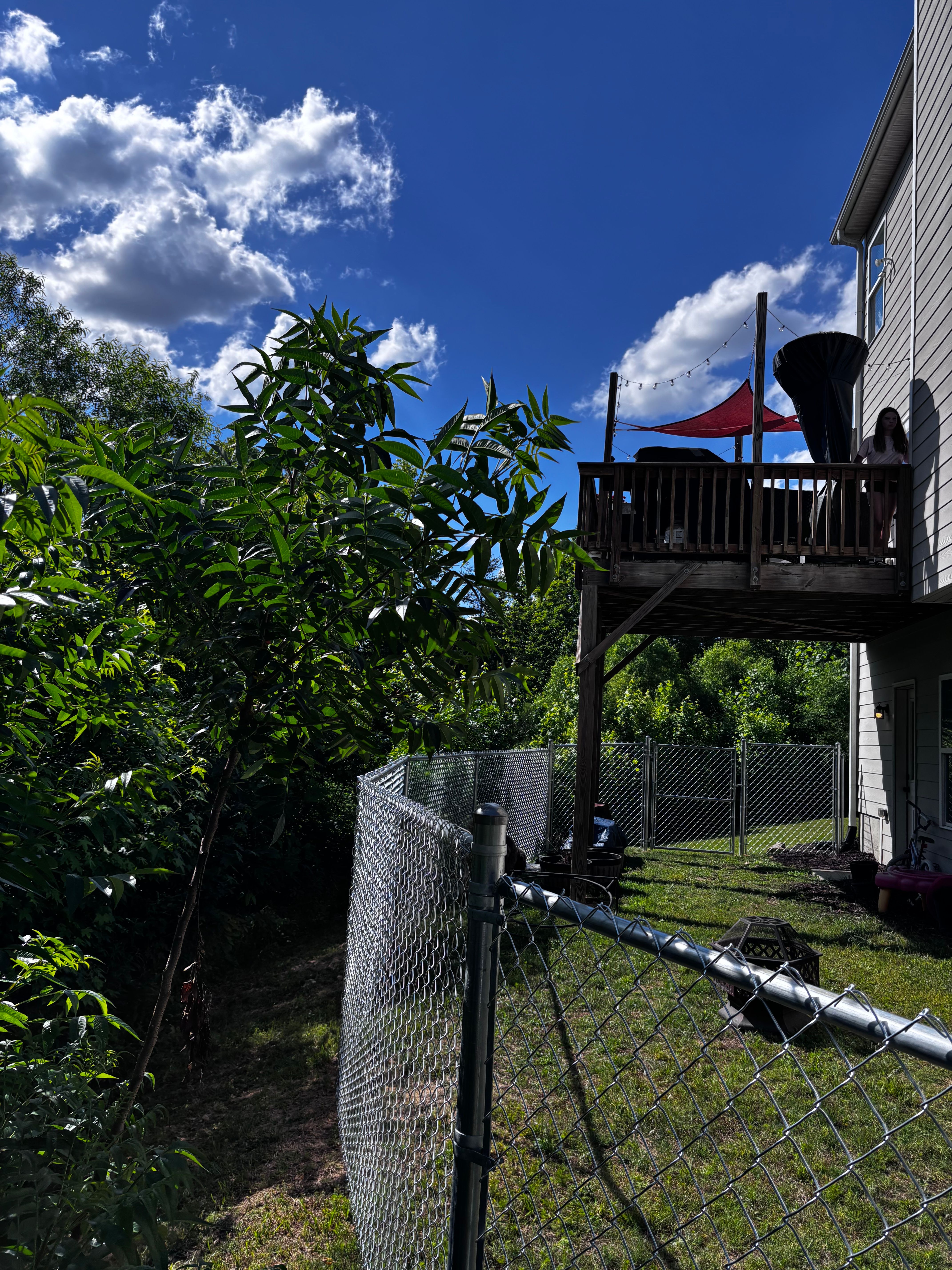  for Alpine Fence in Dahlonega, GA