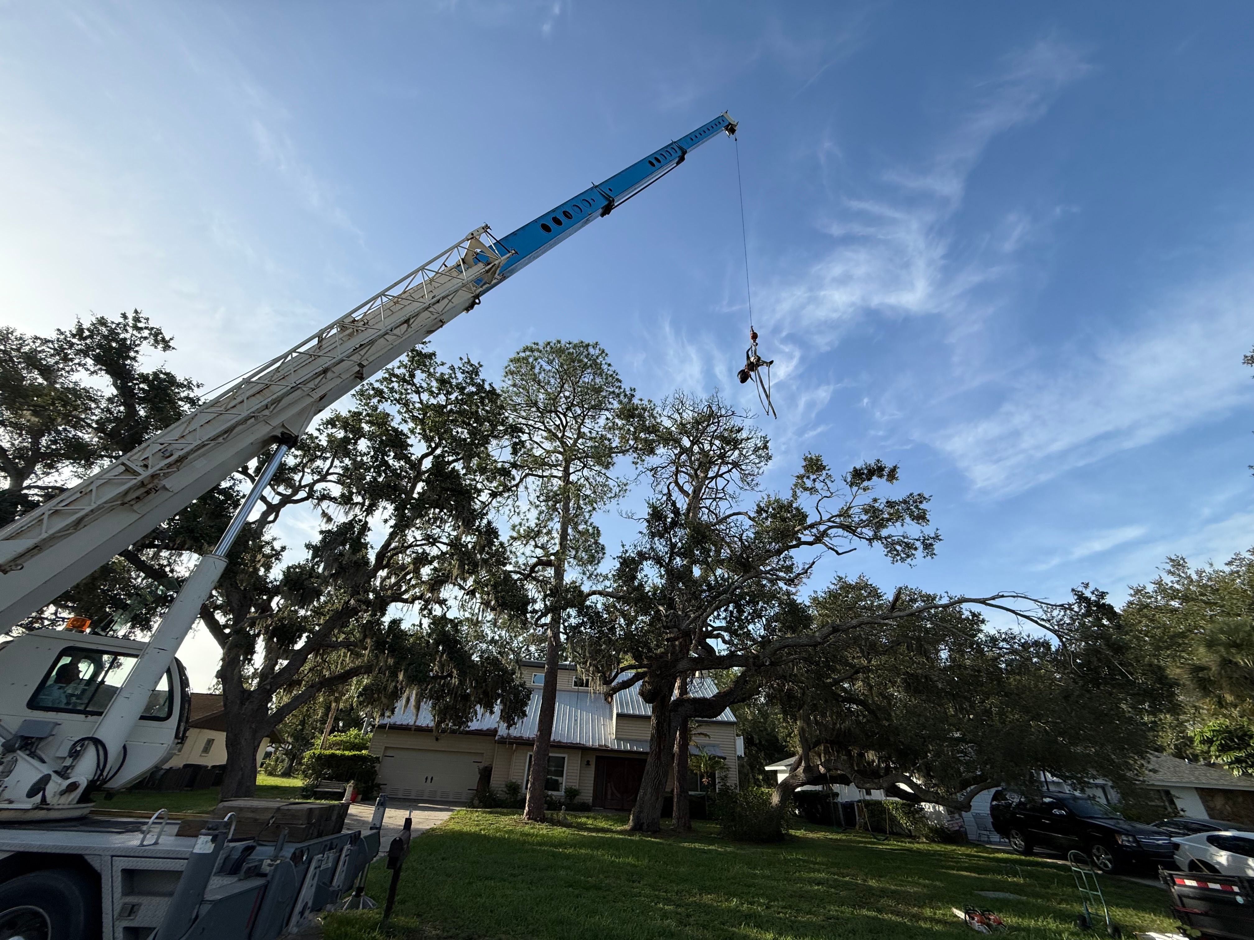  for Damian’s Tree Care in Sarasota, FL