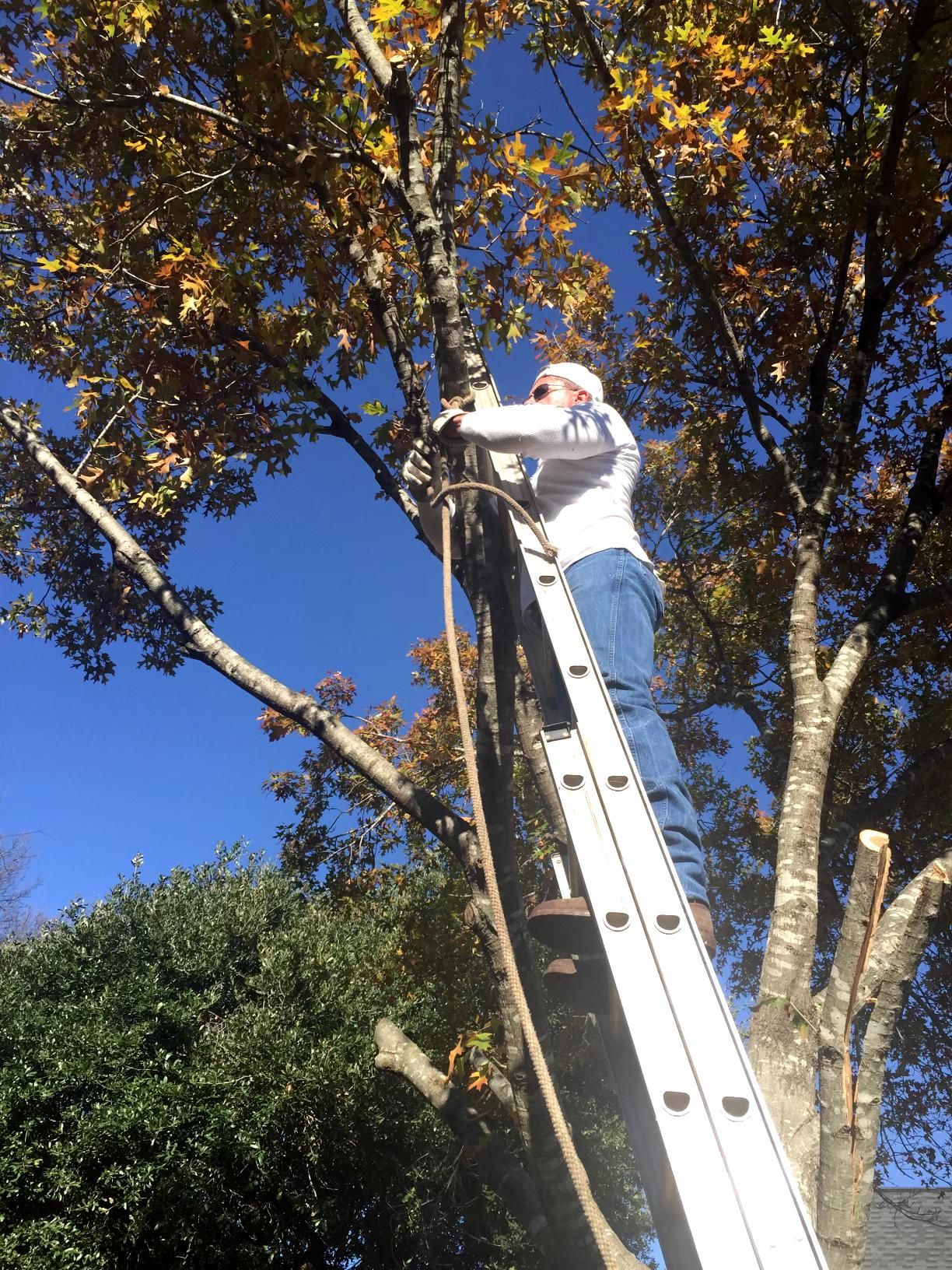  for Danny's Custom Landscaping & Woodchuck Firewood in Garland, TX