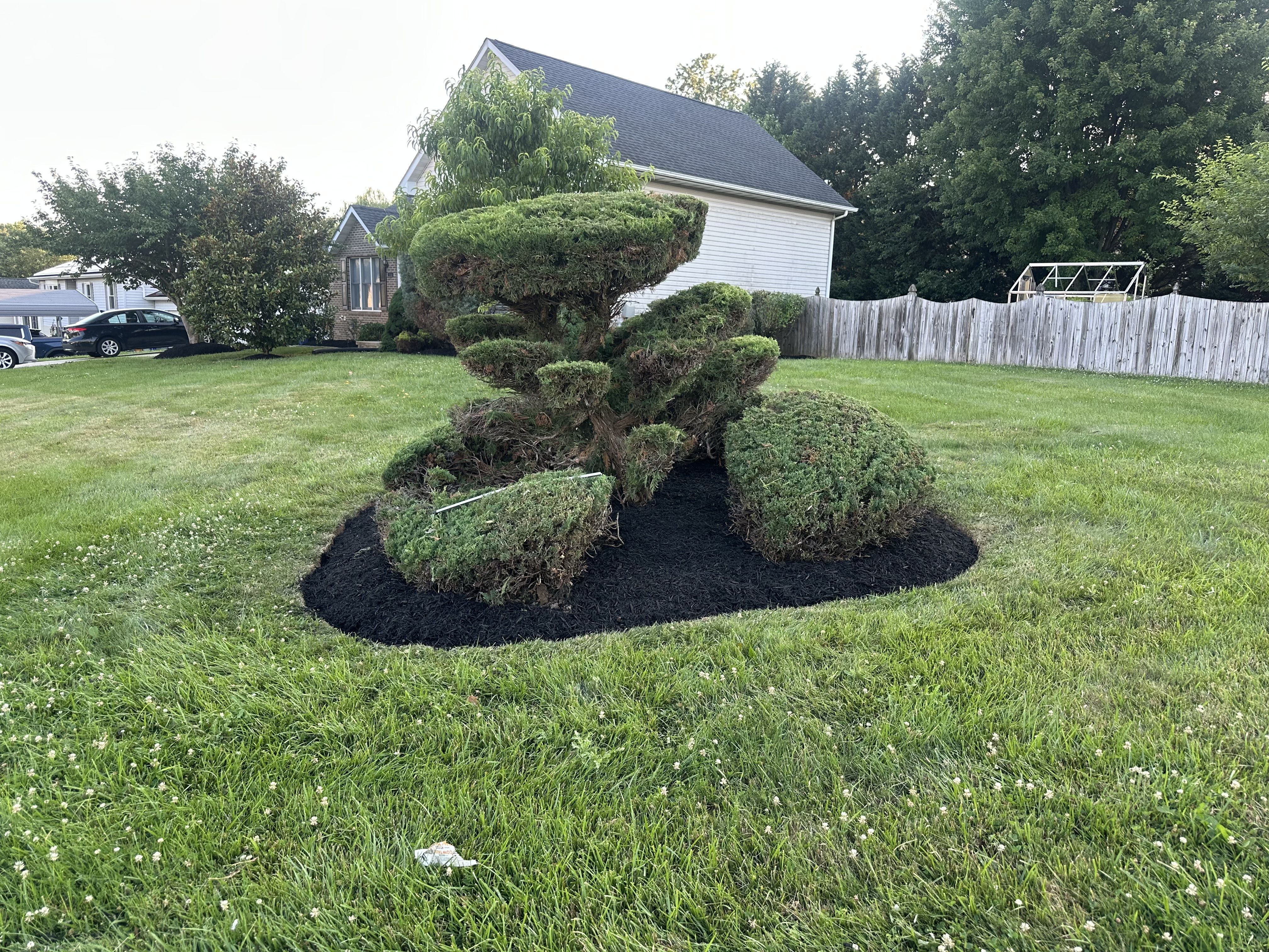 All Photos for A Better Lawn Service LLC in Bel Air, MD