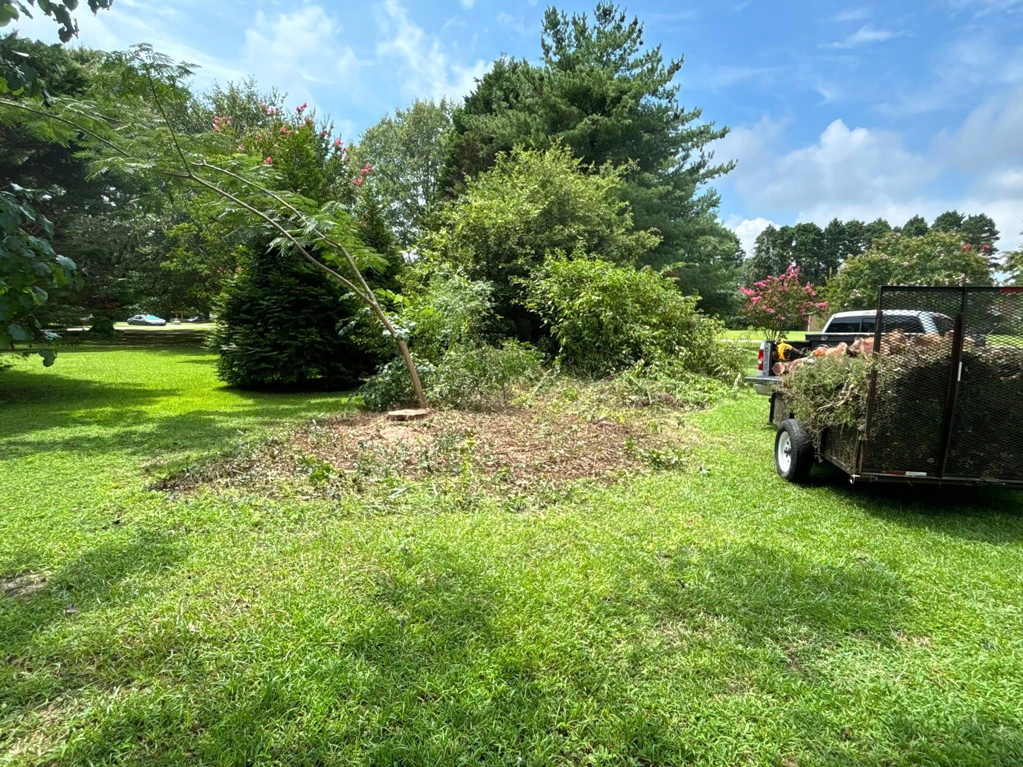  for Total Tree Care in Erwin, North Carolina