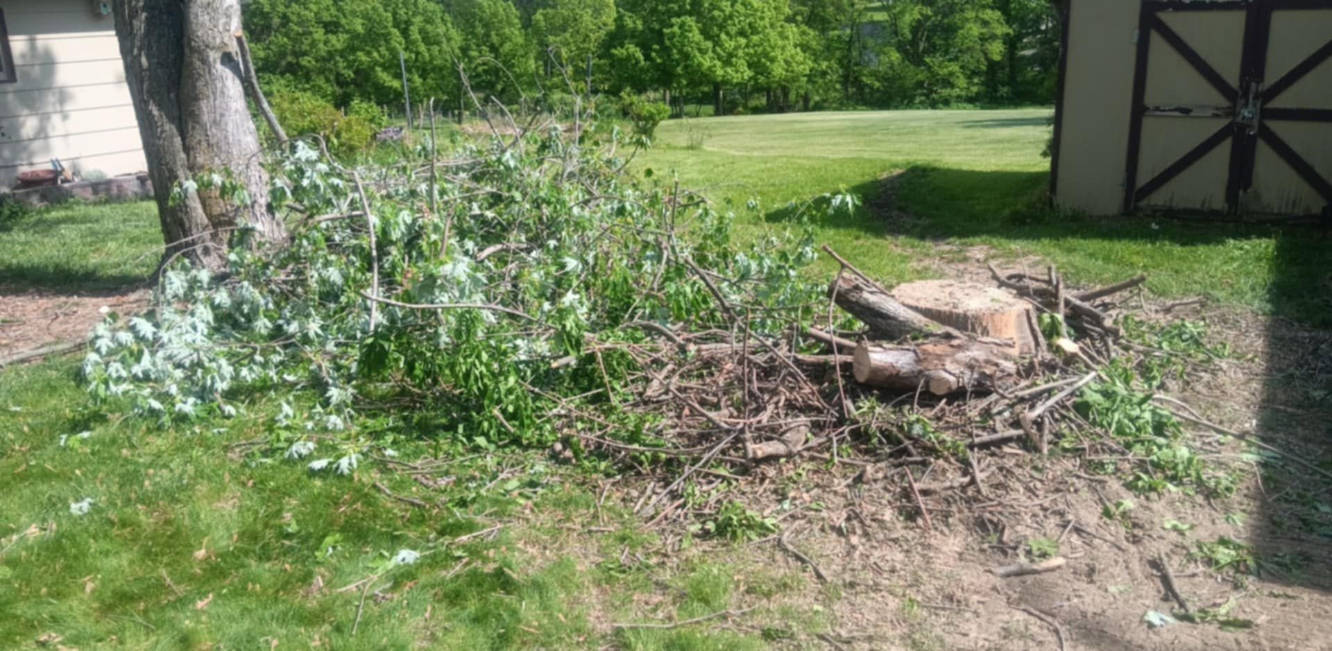  for Lawn Ranger Yard And Tree Service in Ottumwa, IA