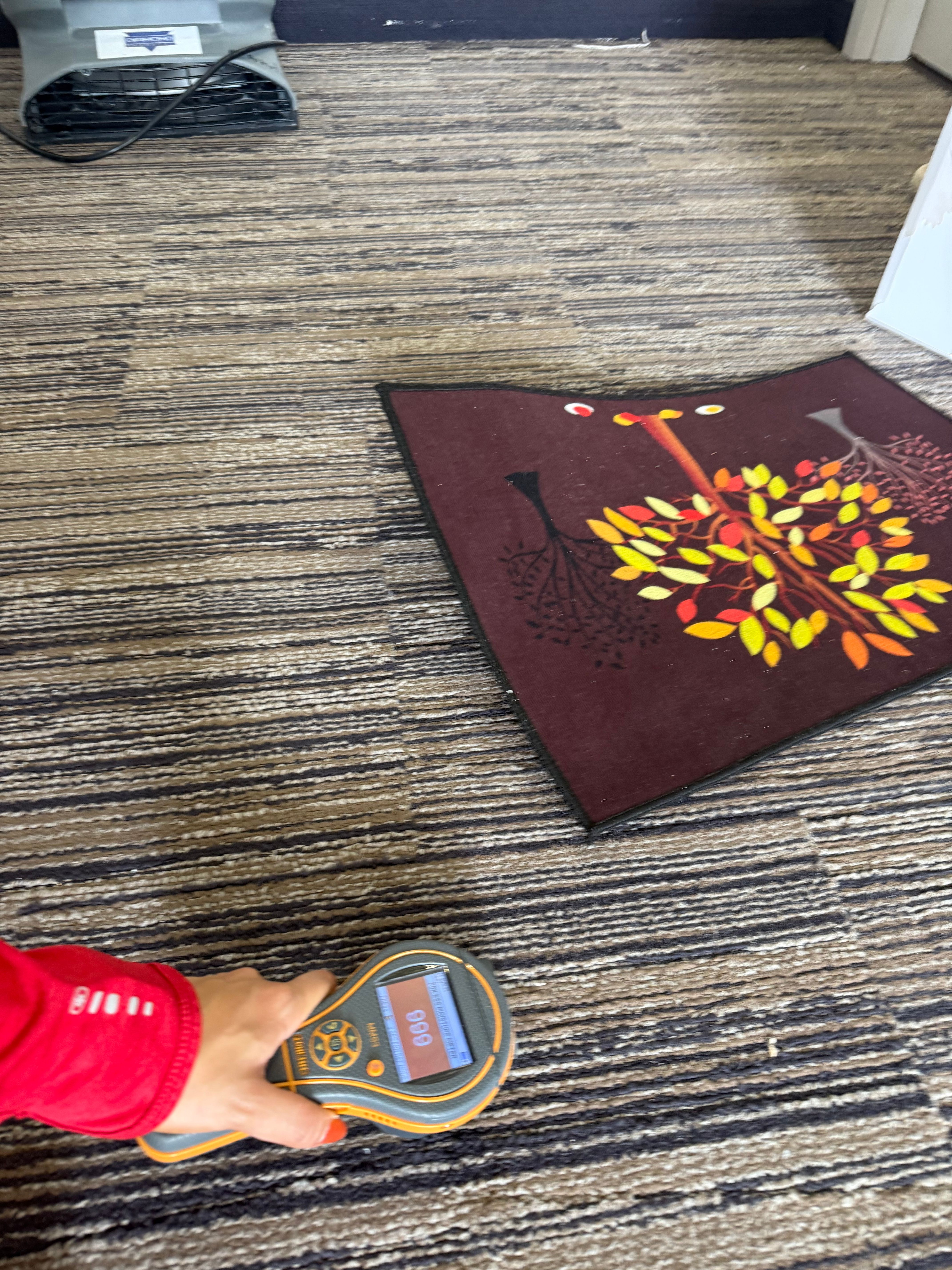  for N&D Restoration Services When Disaster Strikes, We Come In in Cape Coral,  FL