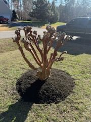 All Photos for C + C Landscaping in Chesterfield, VA