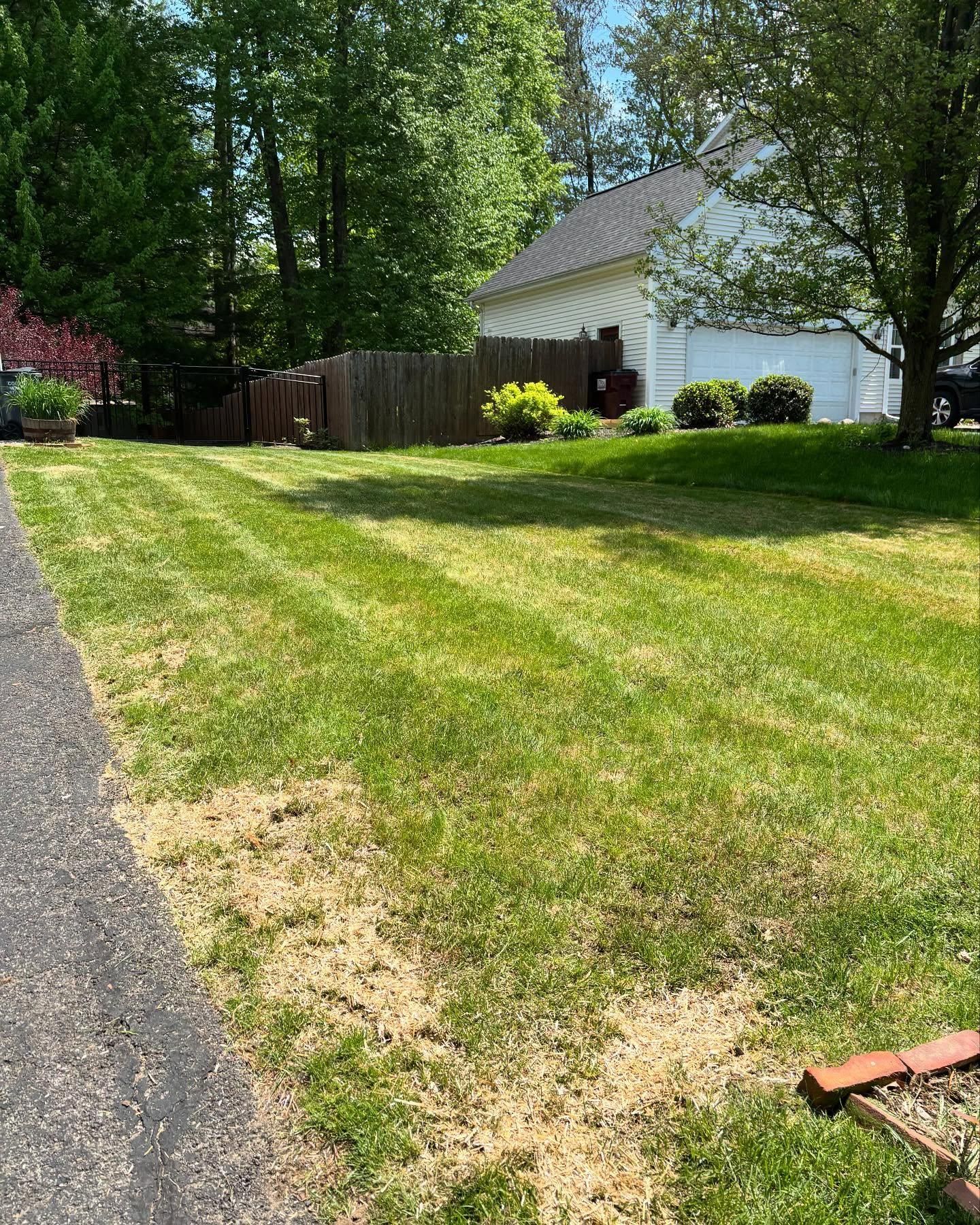  for Bumblebee Lawn Care LLC in Albany, New York