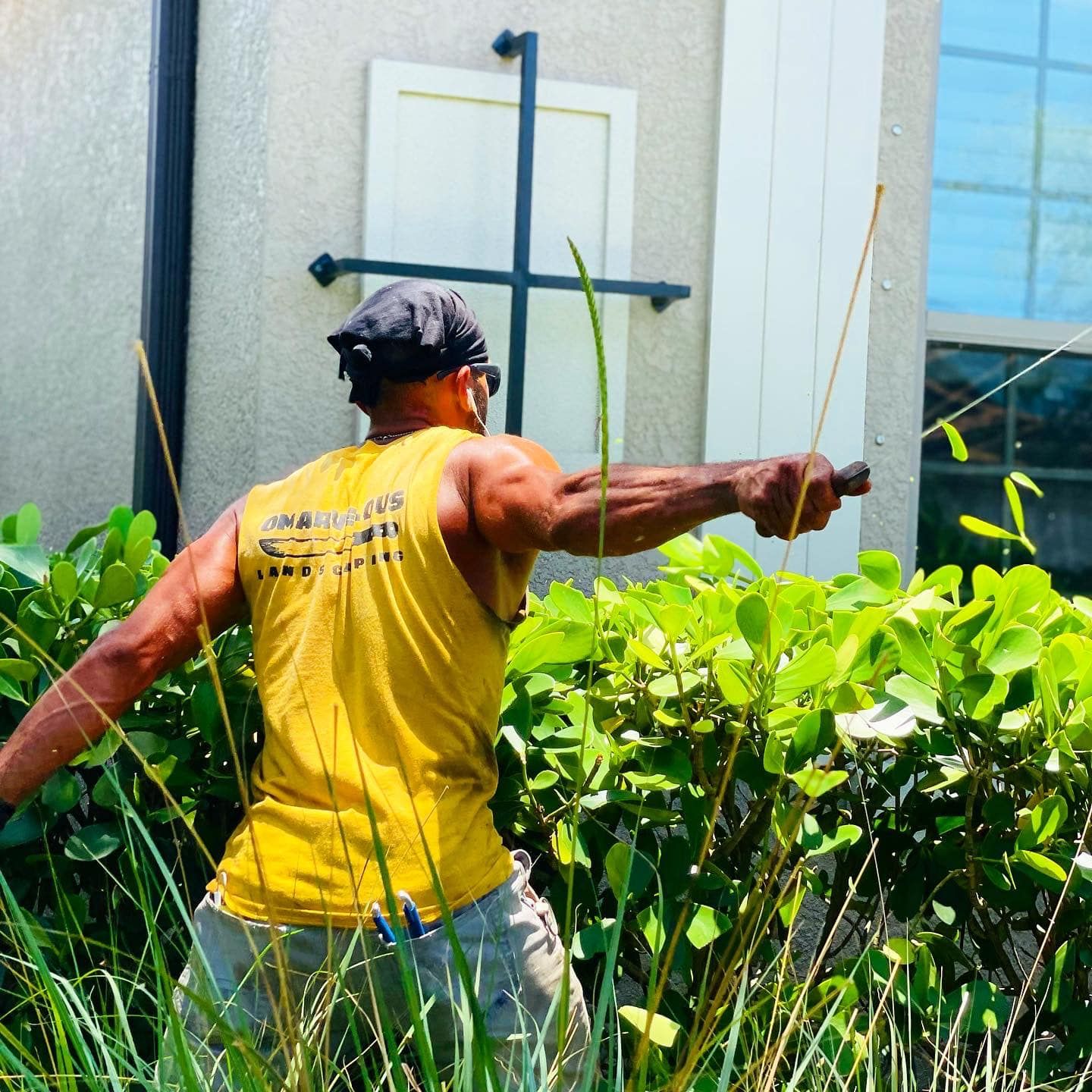  for Omarvelous Landscaping in Sarasota, FL