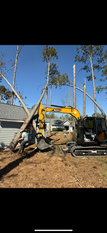  for Thompson Forestry Mulching & Stump Grinding in Douglas, GA