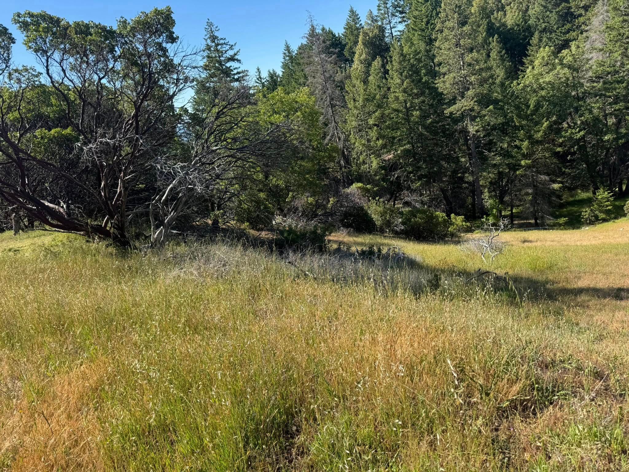 Fire Prevention for Stanisloo’s Landscaping and Services in Potter Valley, CA