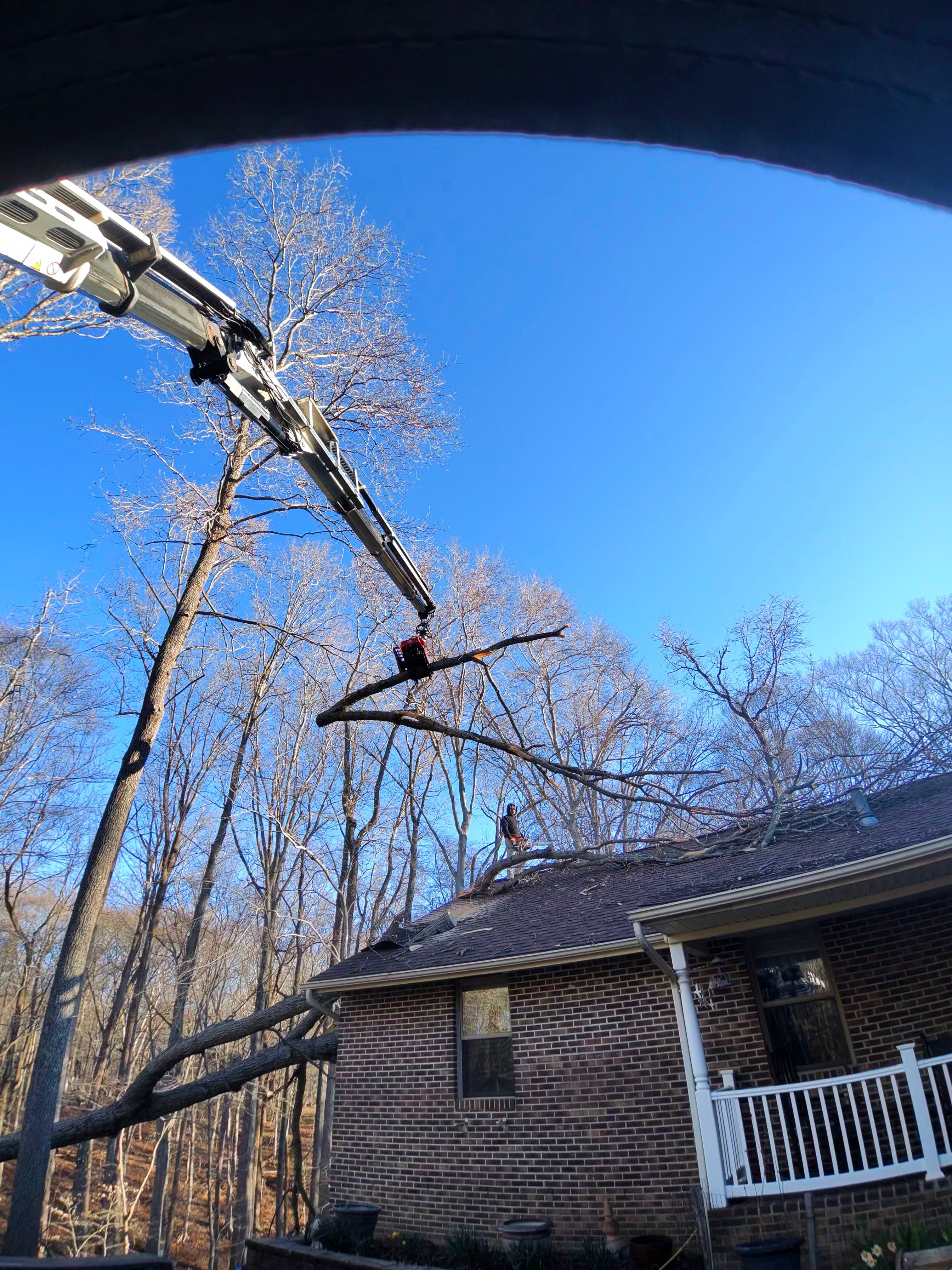  for Darbie's Tree Service in Newburg,  MD