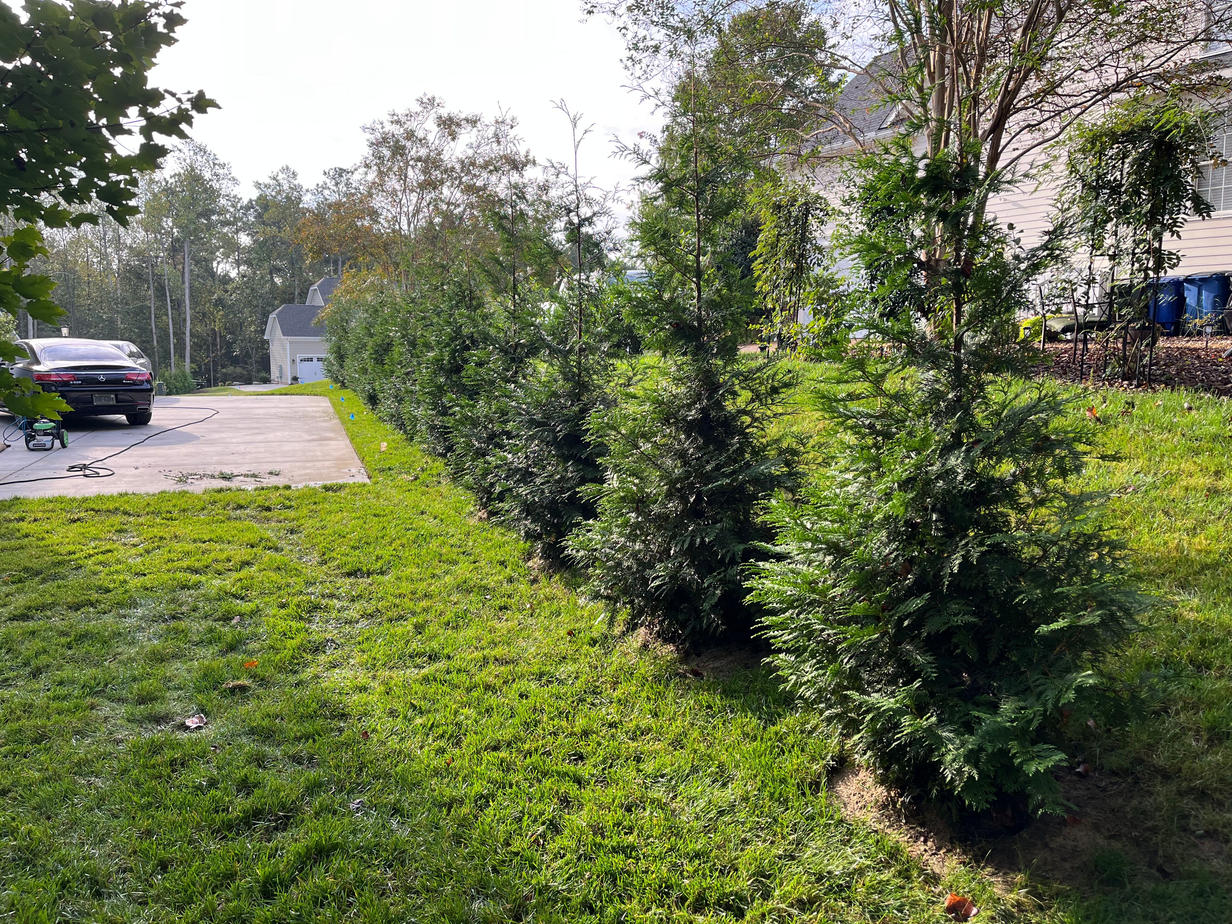  for Atlas Home Services in Mechanicsville, VA