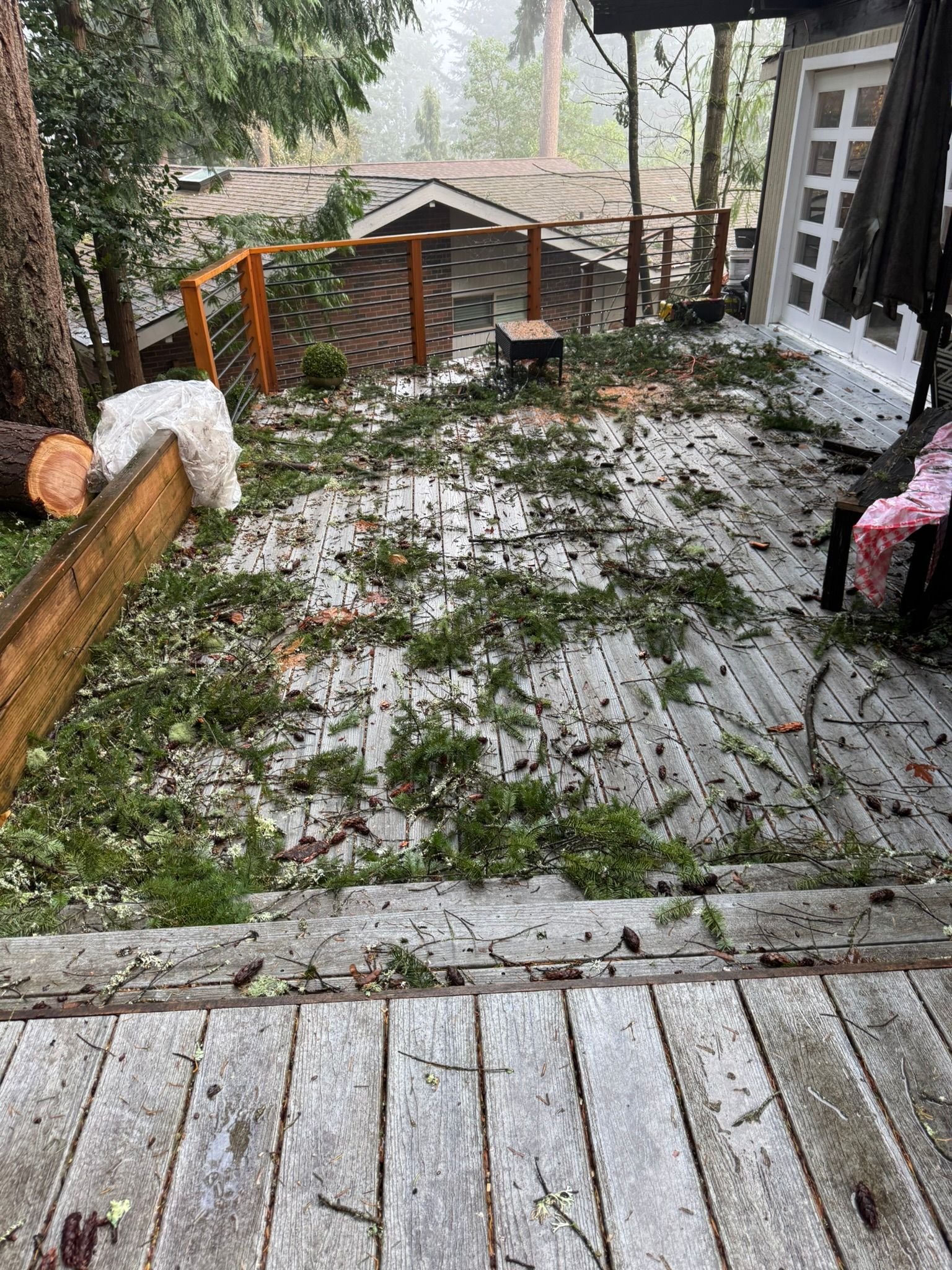  for Tony's Remodeling & Painting in Renton, WA