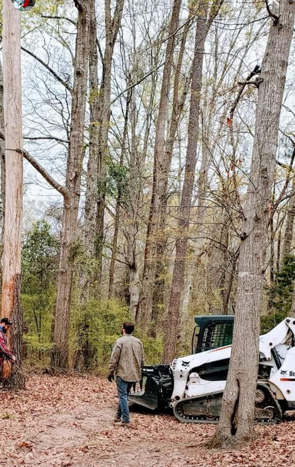  for DNA Tree Service in Birmingham, AL