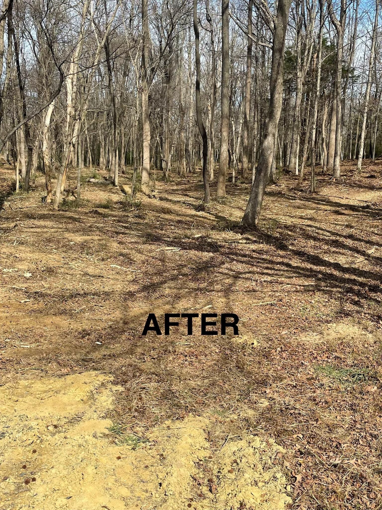  for JA Clearing  in Pageland, SC