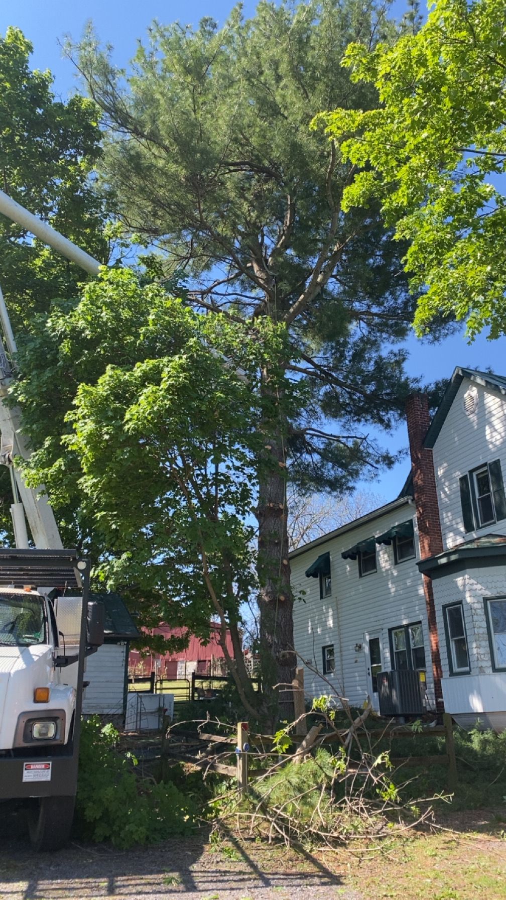 All Photos for Gray's Tree Service  in Shenandoah County, VA