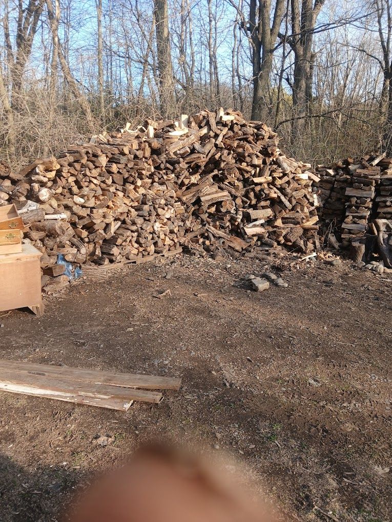  for Rockford Tree Specialist in Rockford, MN