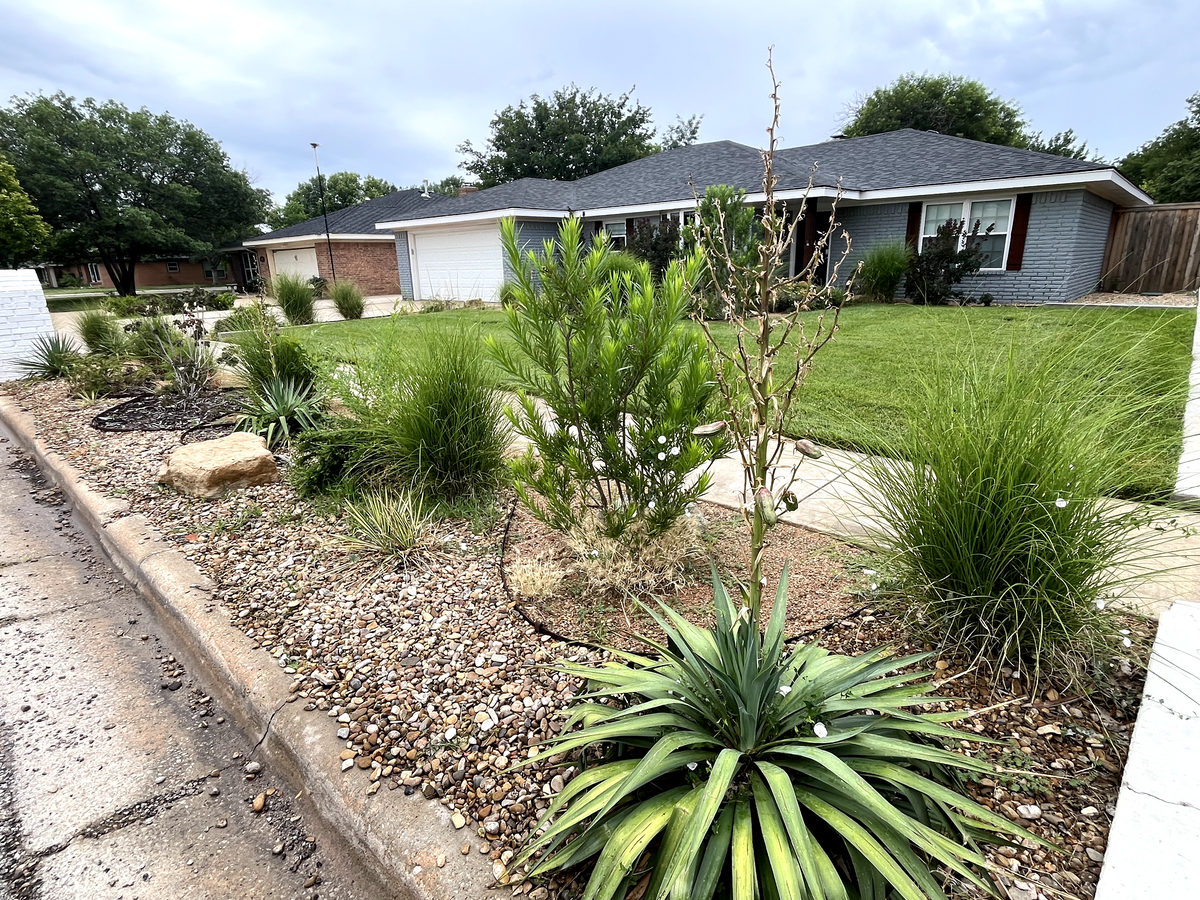  for Cole Landscaping & Pools, LLC in Amarillo, TX