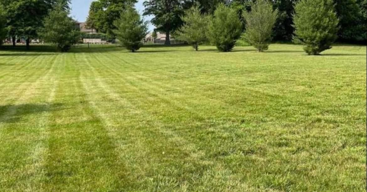 Lawn Care for Wright Lawn Services in Ozark, MO