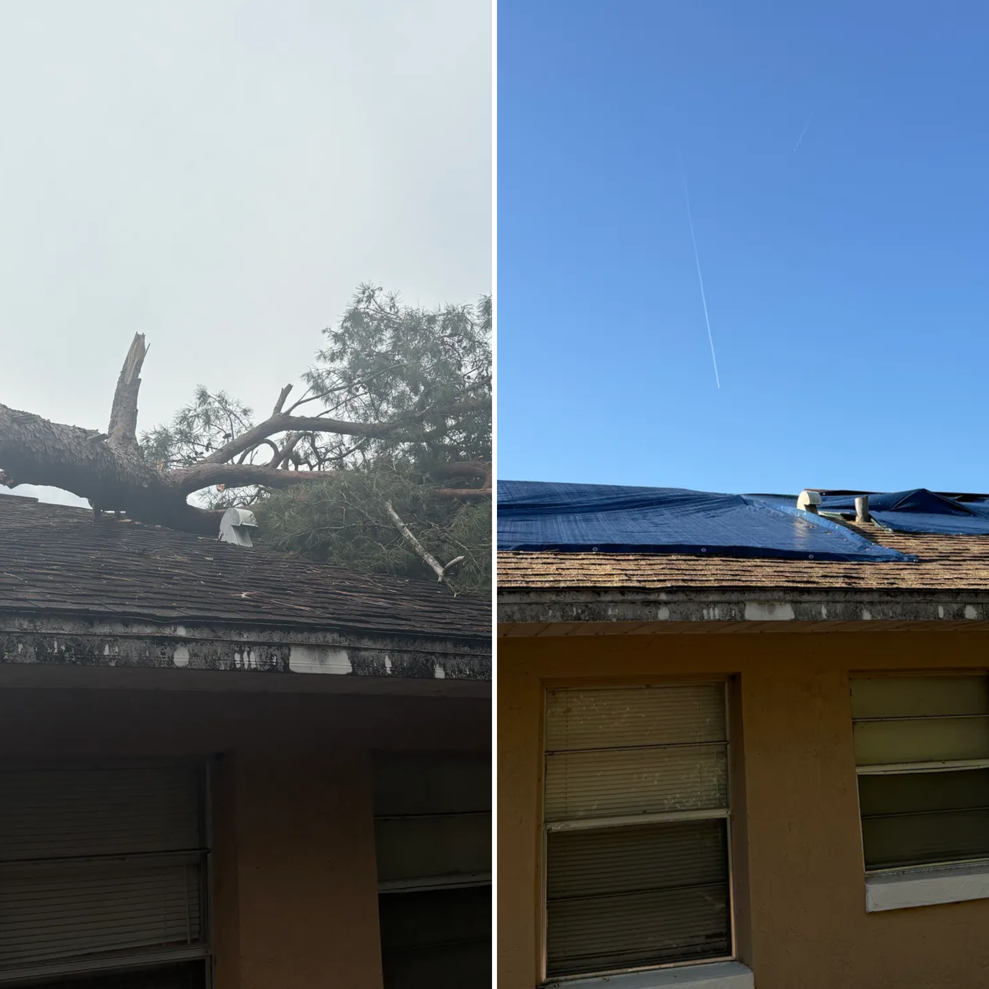  for Amerigrown Tree And Lawn in Apopka, FL