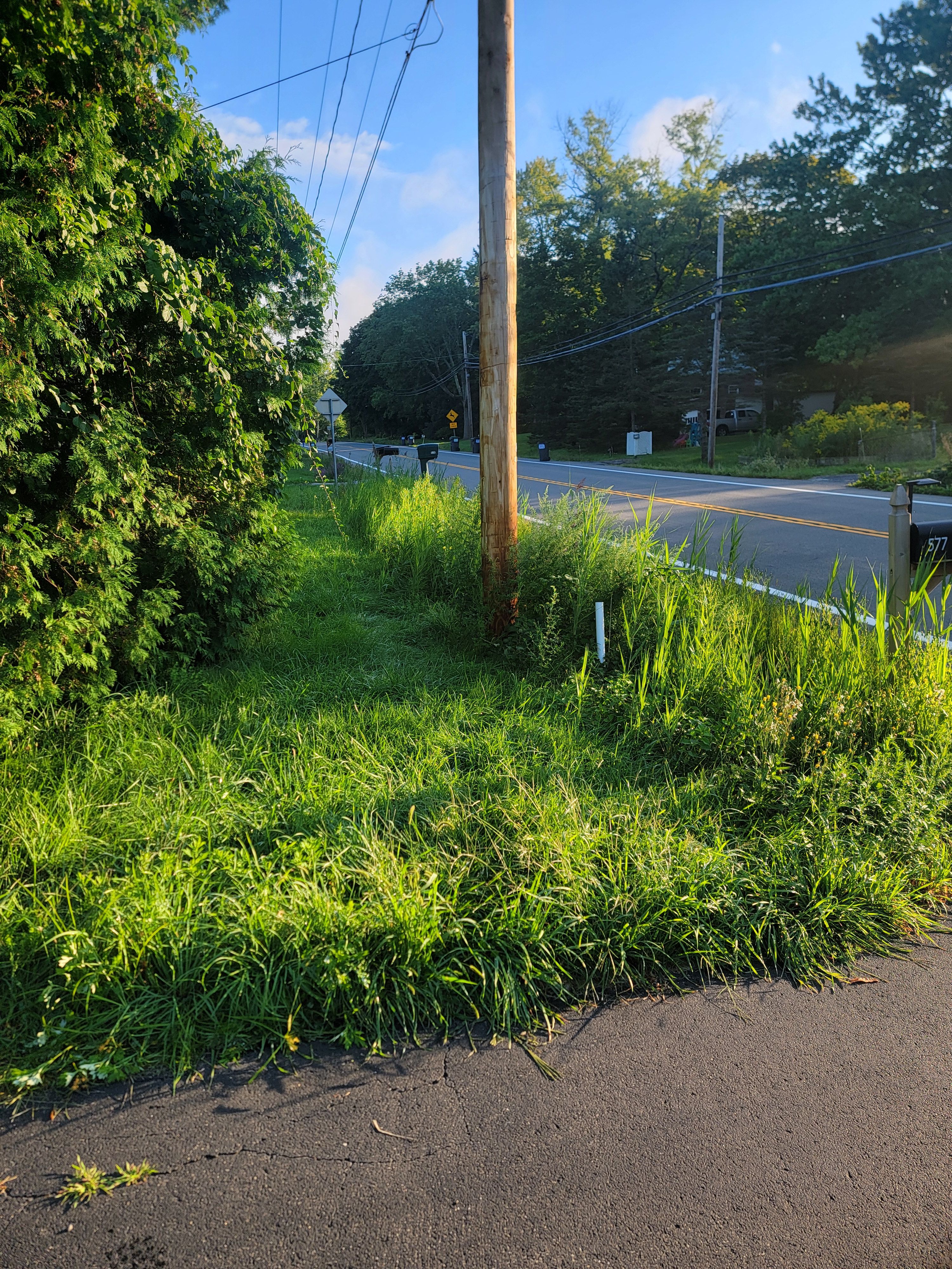  for Sweet Scapes in Ballston Spa, NY