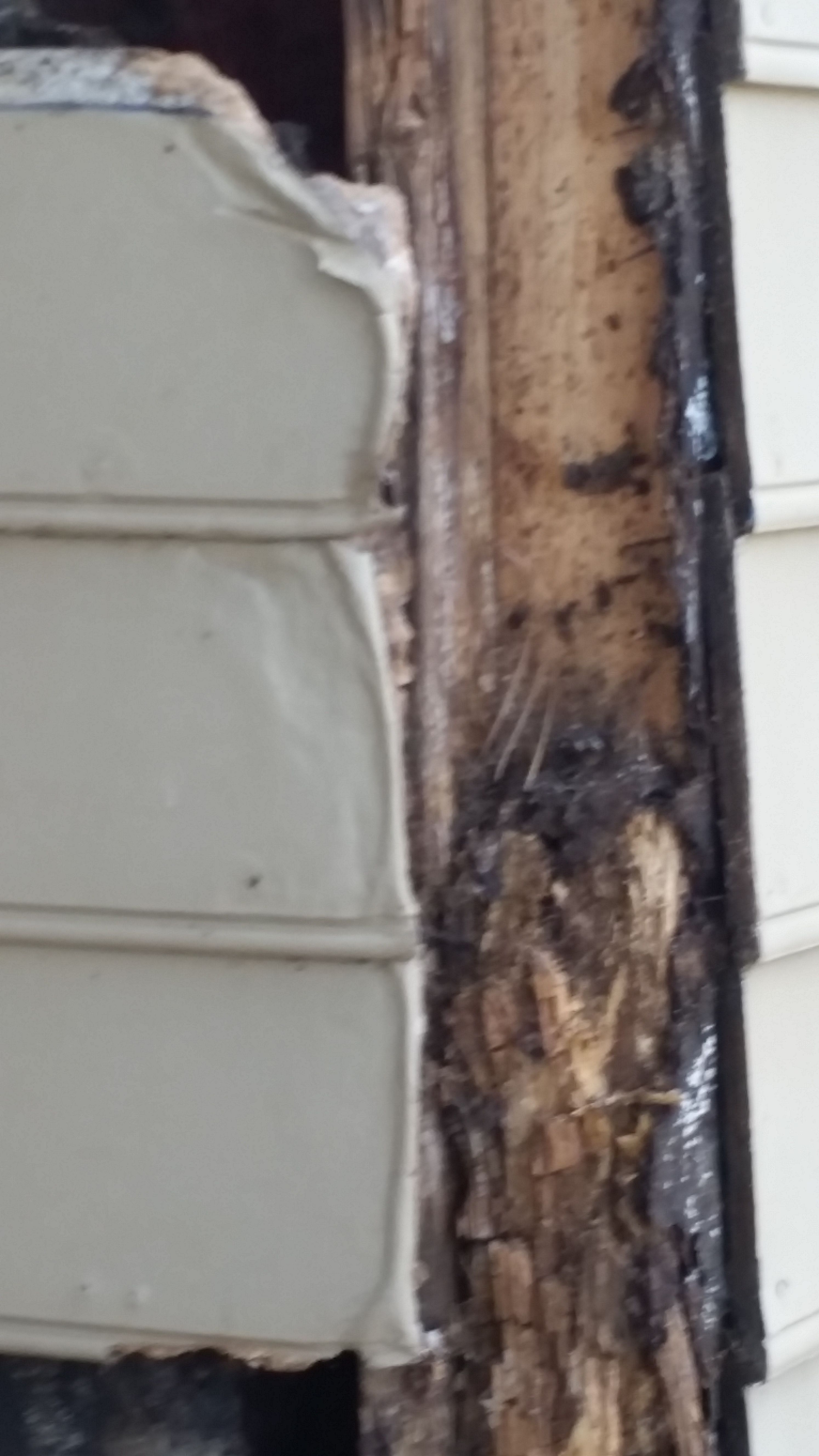  for Mancinas Home Improvement, Landscaping, & Lawn Care in Fayetteville, NC