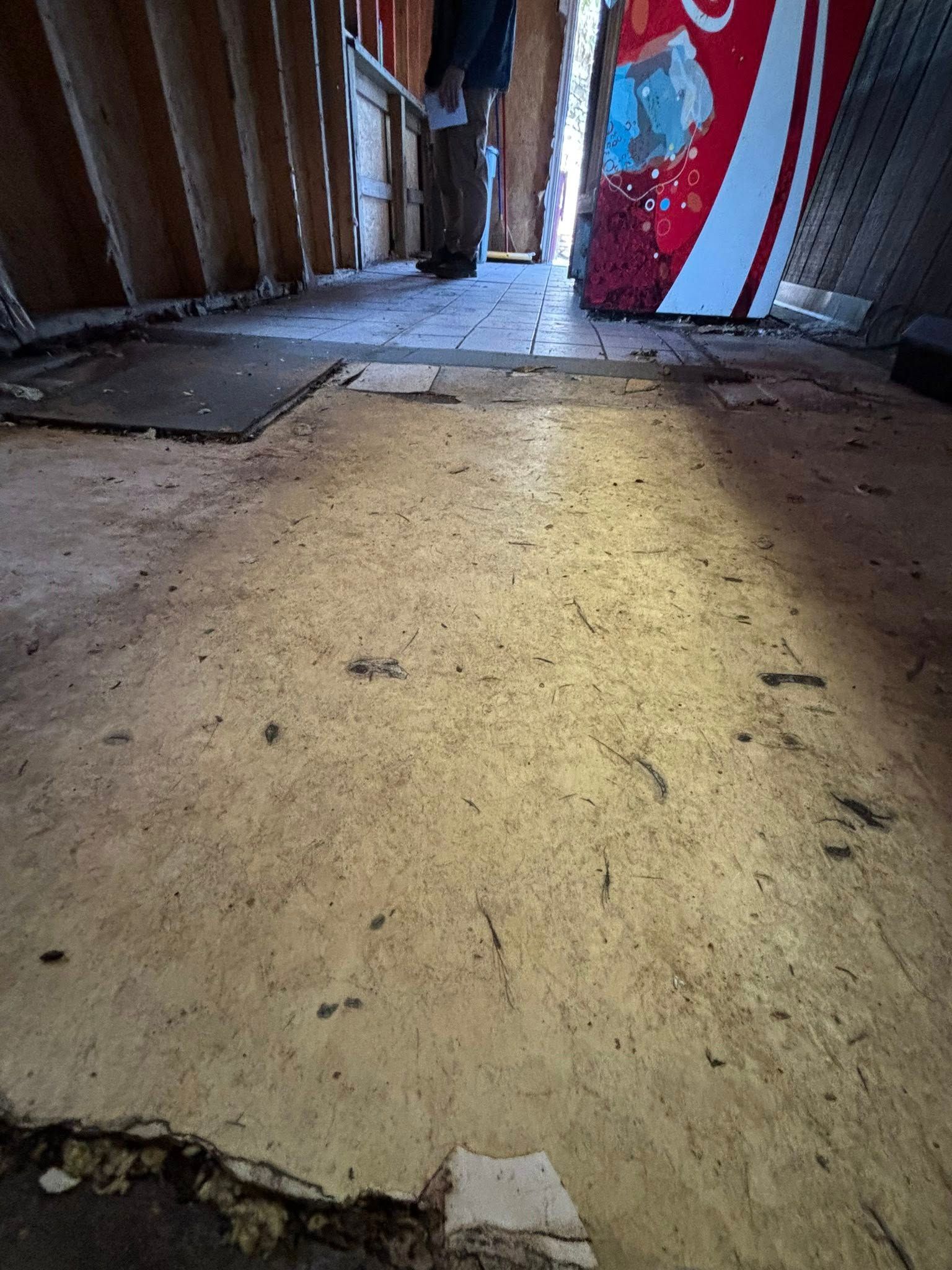 Interior Renovations for Roache Construction in Erie, PA