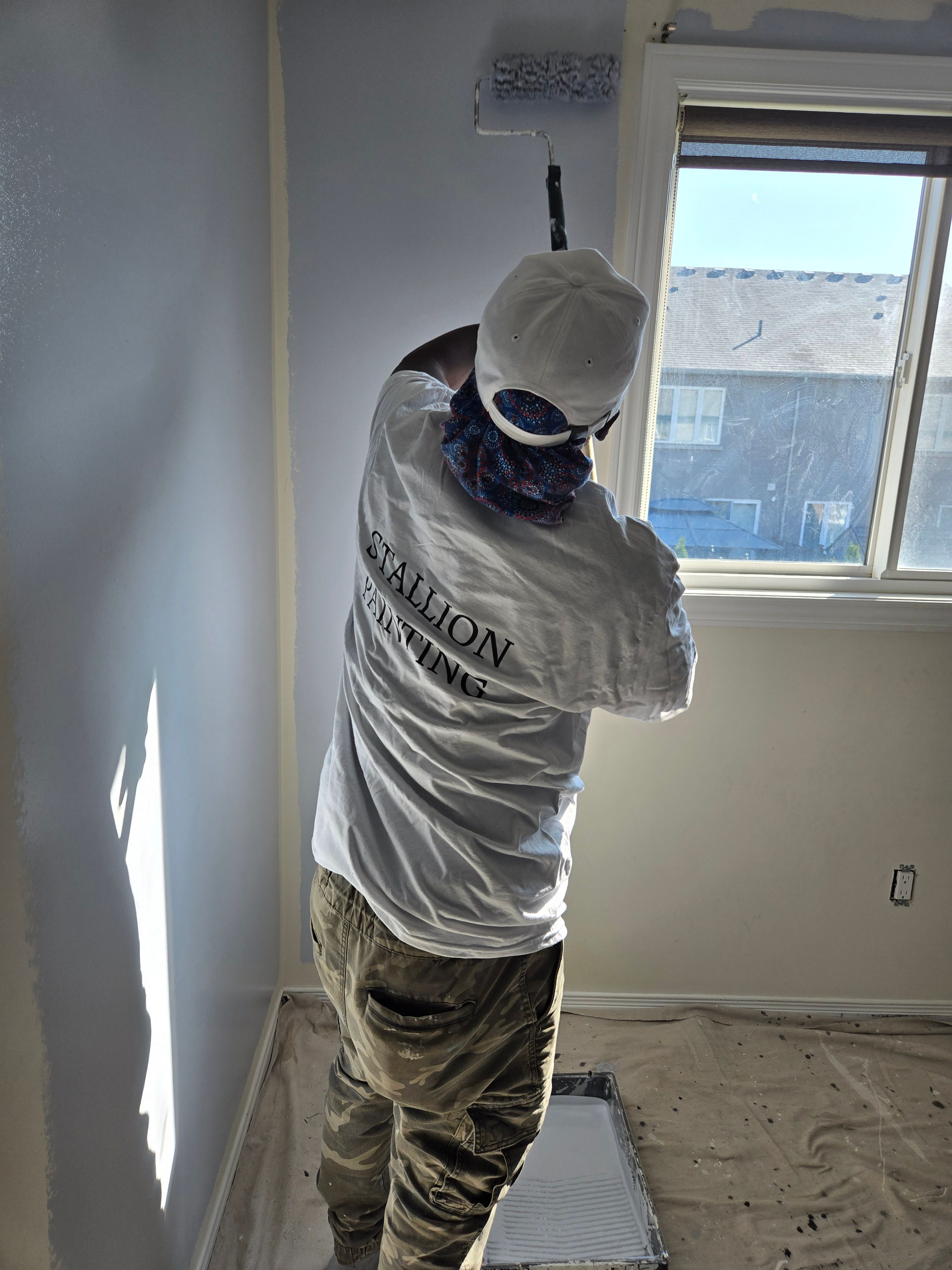  for Stallion Painting in Hamilton, Ontario