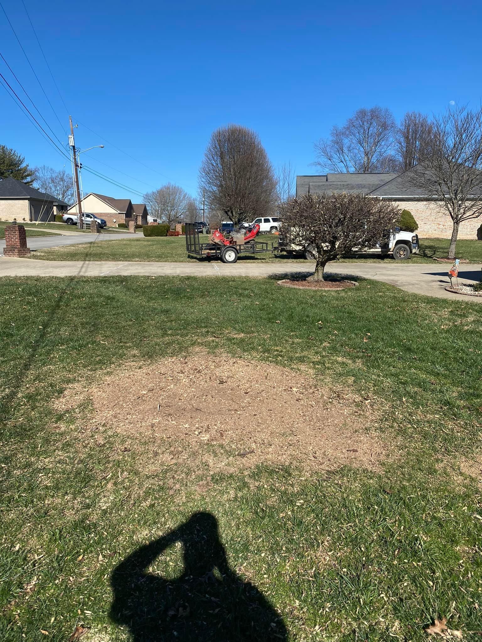 All Photos for Atwood’s Tree Care in Liberty,  KY